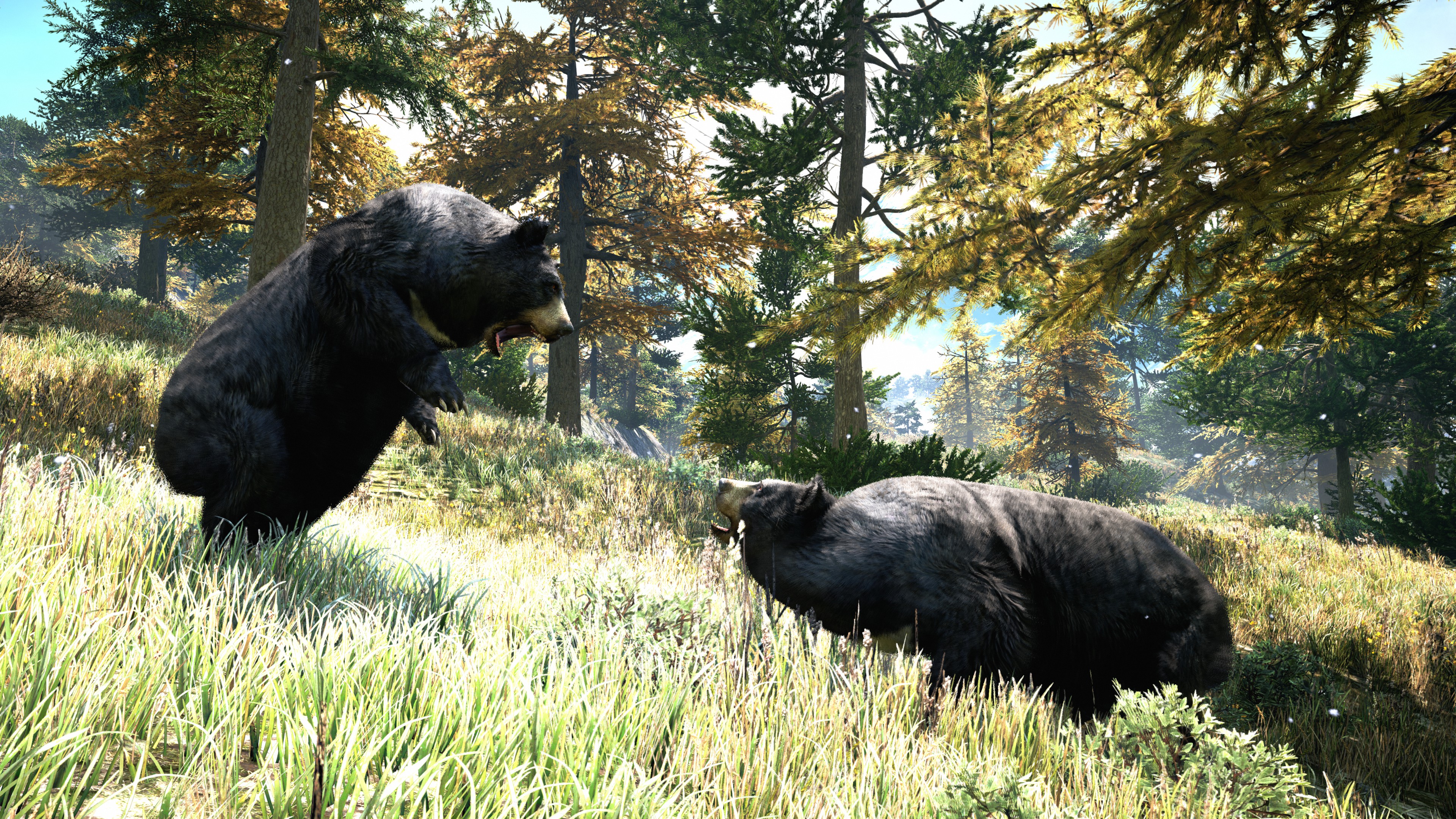 4 медведя игра. The Hunter Call of the Wild черный медведь. Самый большой медведь в мире. Медведь в полный рост.