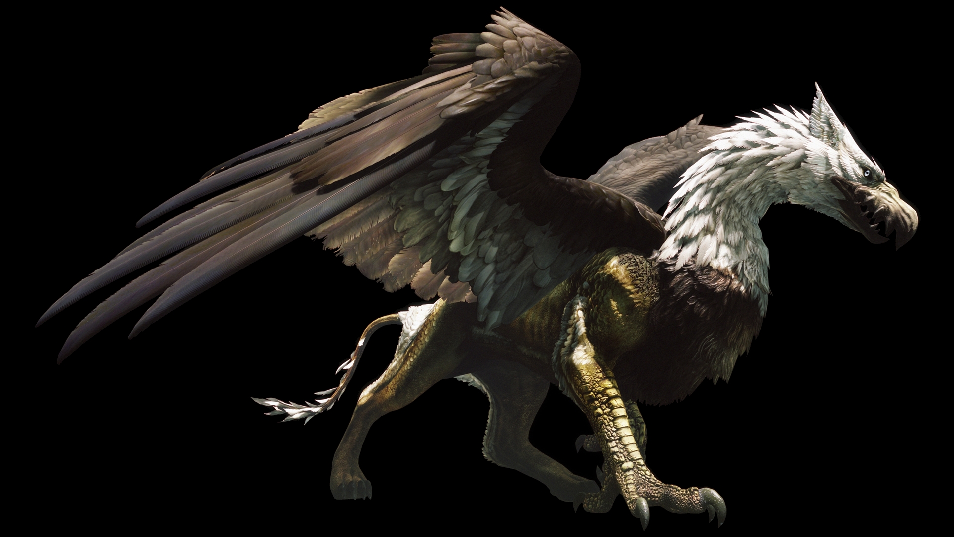 Video Game Dragons Dogma Dark Arisen 1920x1080