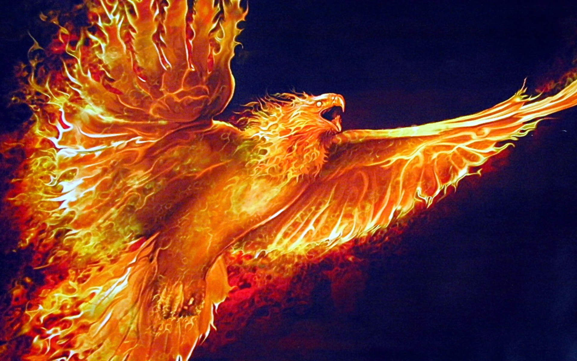 Fire Phoenix Bird Wings 1920x1200