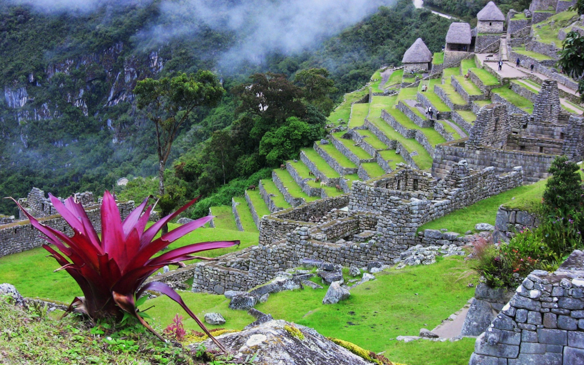 Man Made Machu Picchu 1920x1200