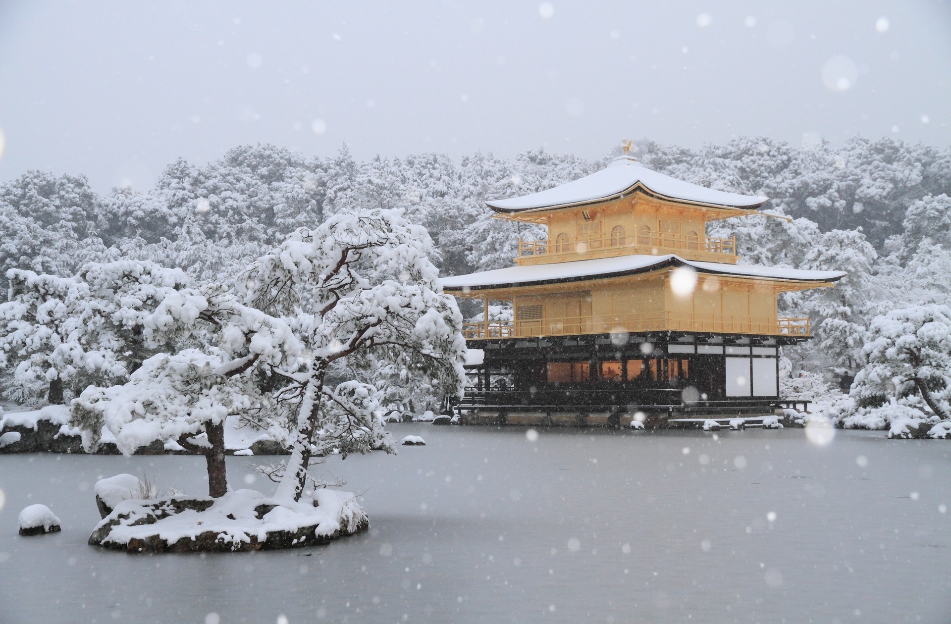 Kinkaku Ji The Temple Of The Golden Pavilion Snowfall Kyoto Japan 1920x1260