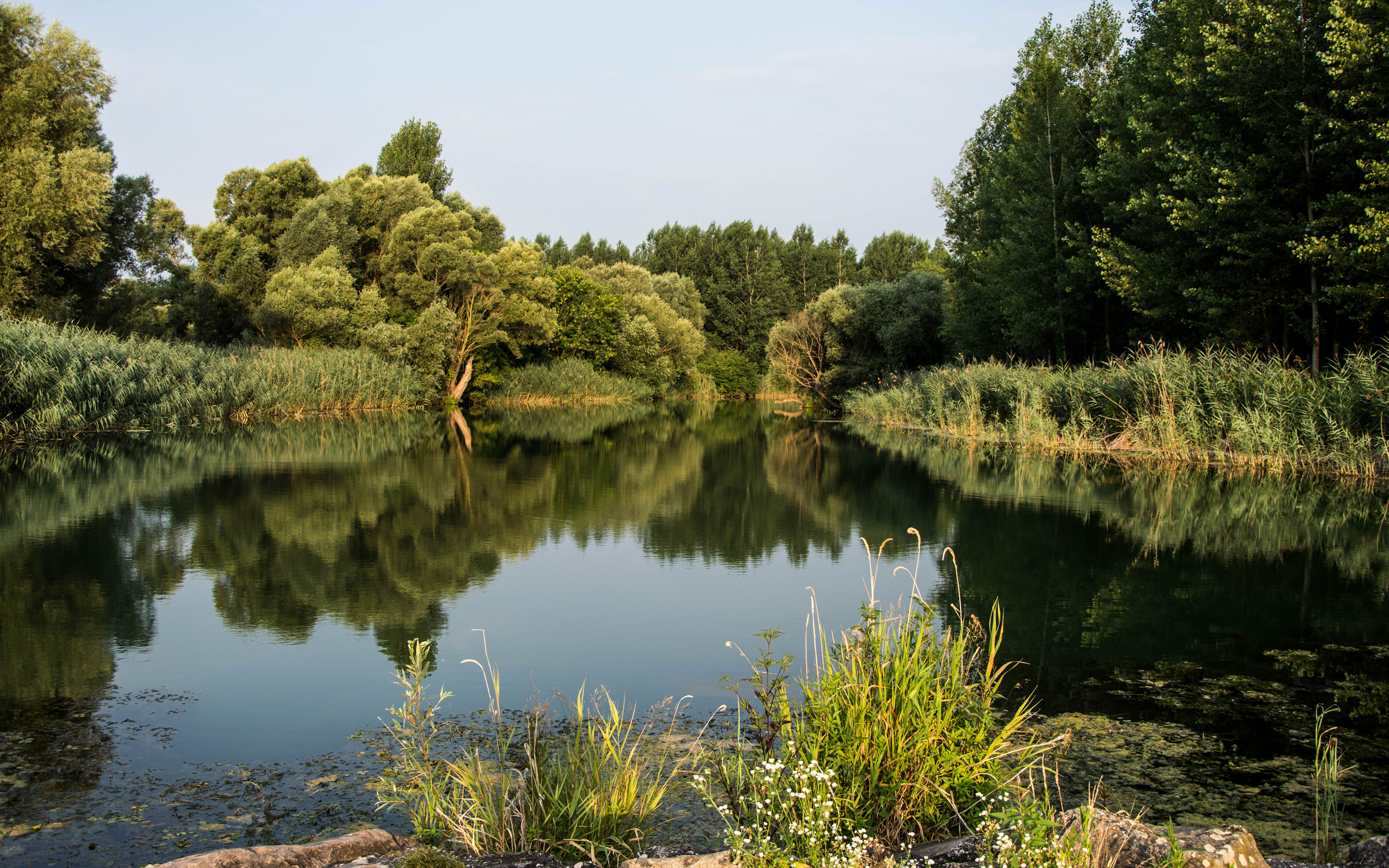 Nature Landscape River Danube Forest 3840x2400