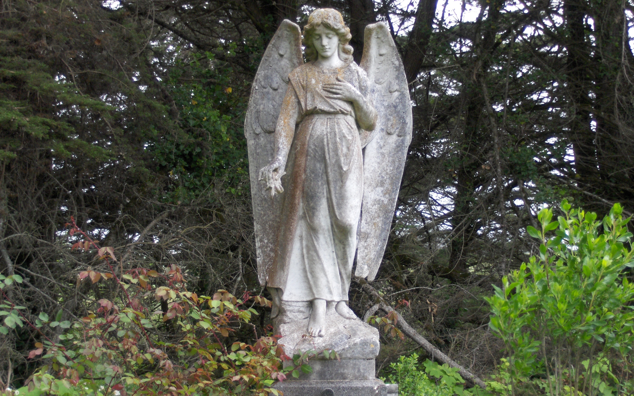 Angel Statue 2560x1600