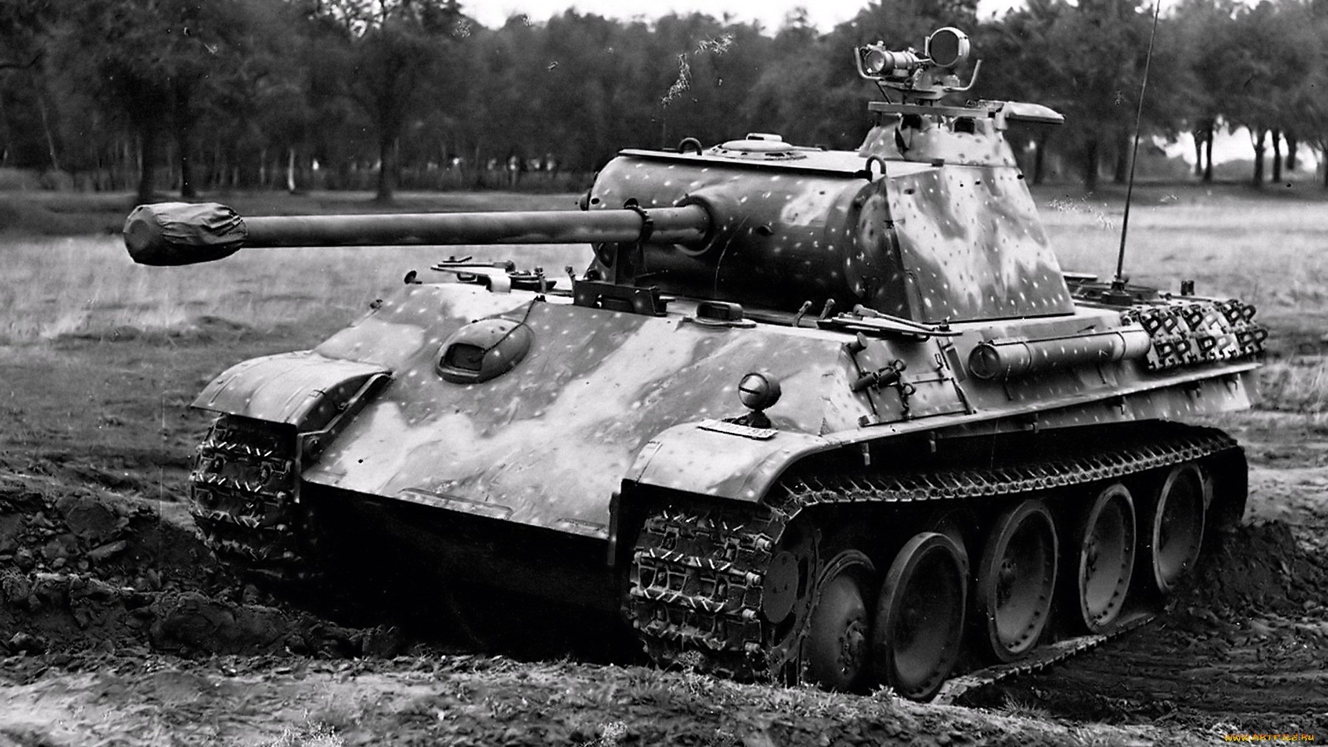 Military Tank Vehicle Black Amp White Panther 1920x1080