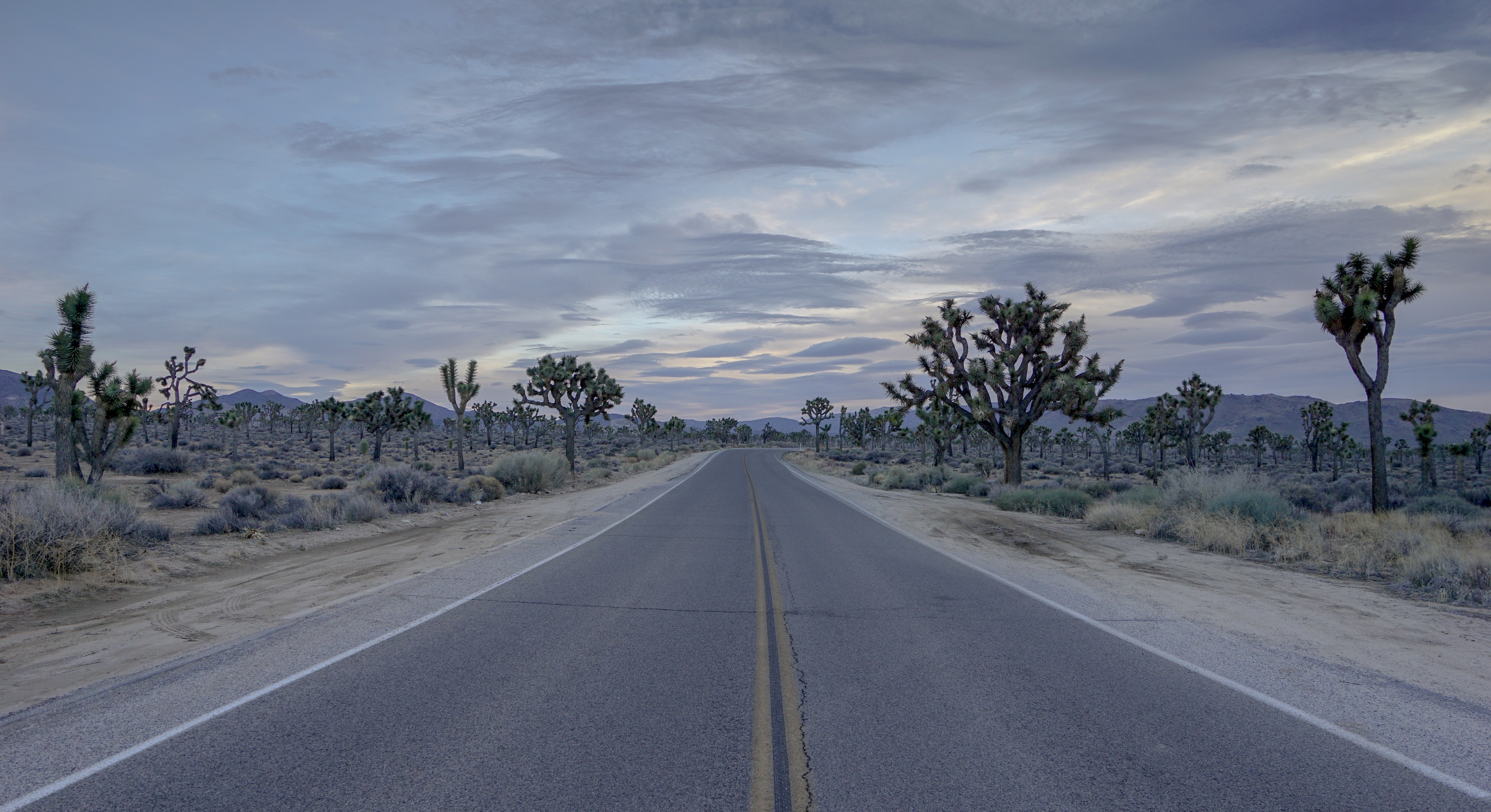 Joshua Tree National Park Tree Road California Desert Highway 3555x1938