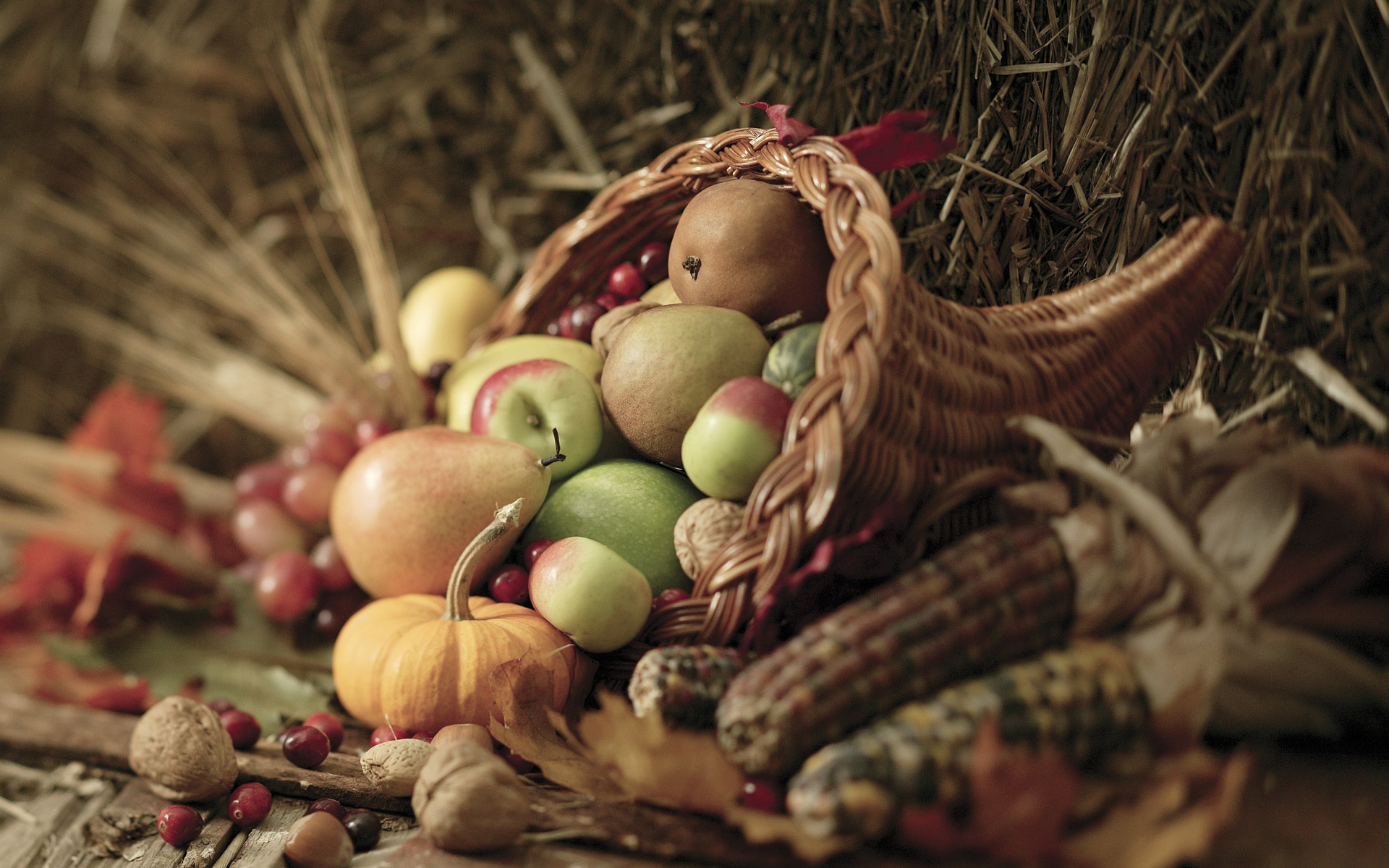 Apple Basket Corn Fall Leaf Nut Pear Still Life Thanksgiving Vegetable 1920x1200