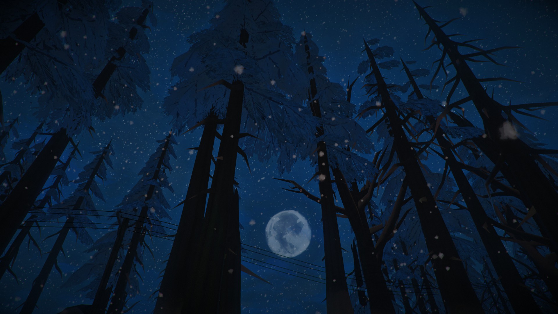 The Long Dark Pine Wood Forest Night Moon 1920x1080