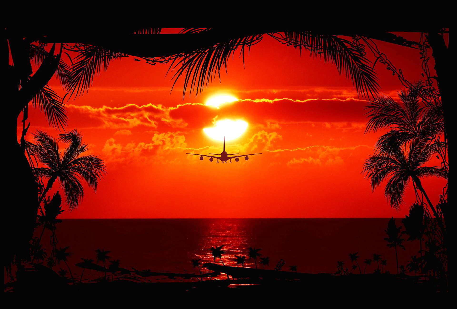 Airplane Cloud Evening Flight Palm Tree Sunset Tree 1920x1299
