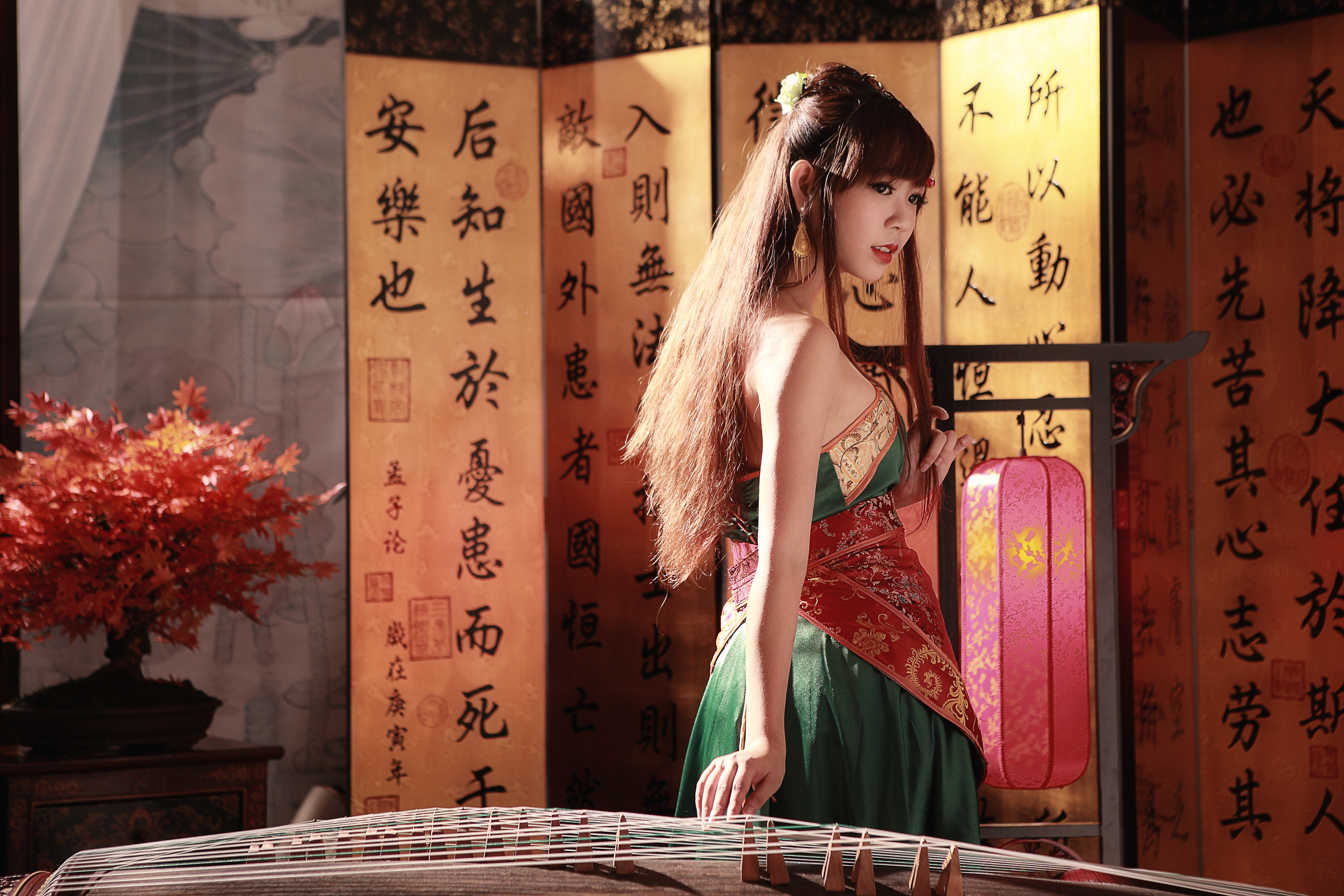 Girl Woman Asian National Dress Instrument Bonsai Sa Lin Taiwanese 5616x3744