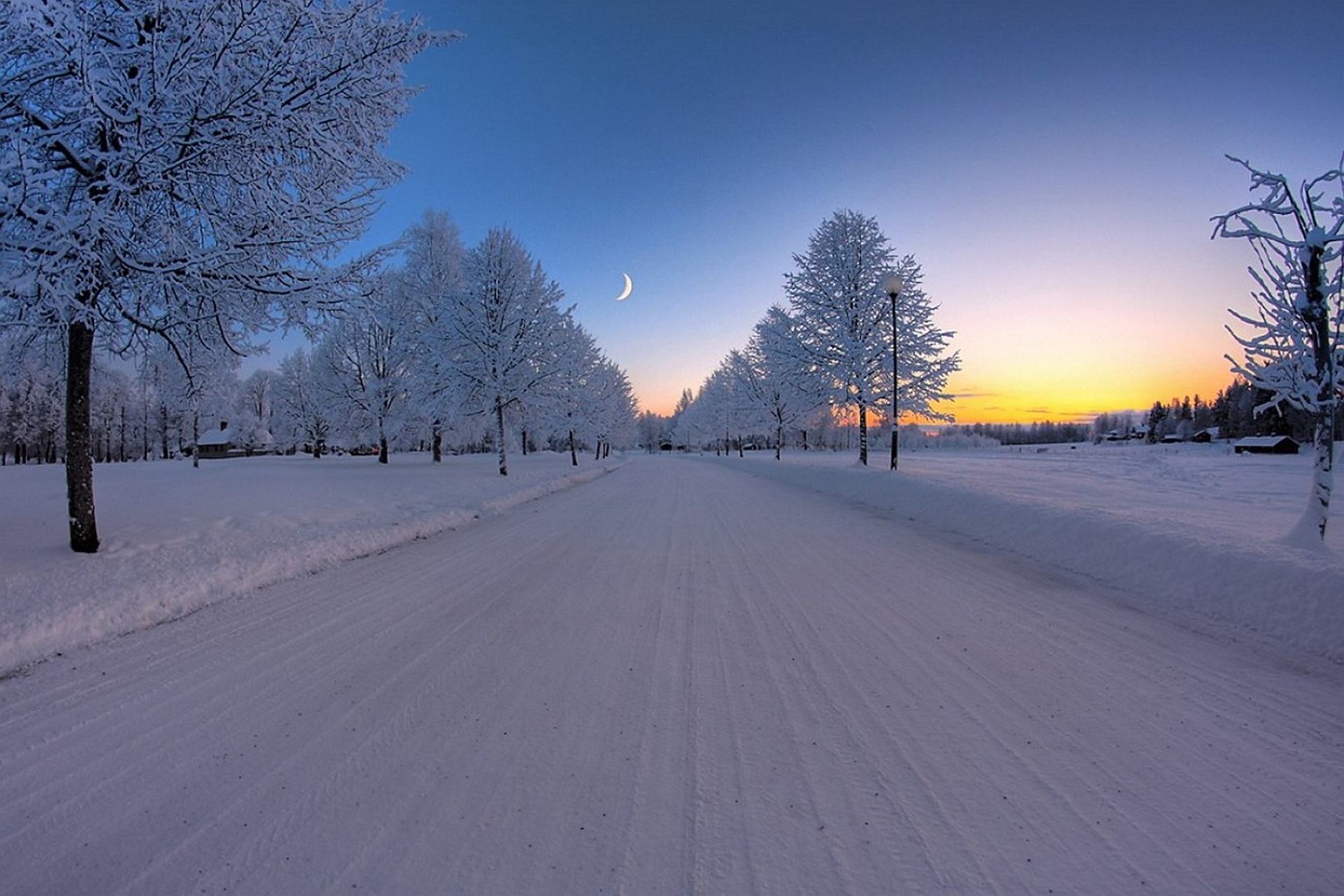 Winter Road Tree Crescent Moon 1920x1280