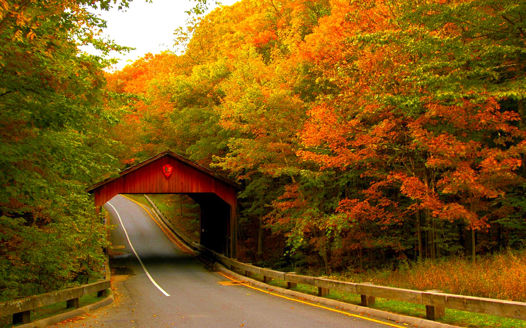 Covered Bridge Road Fall Foliage 1680x1050