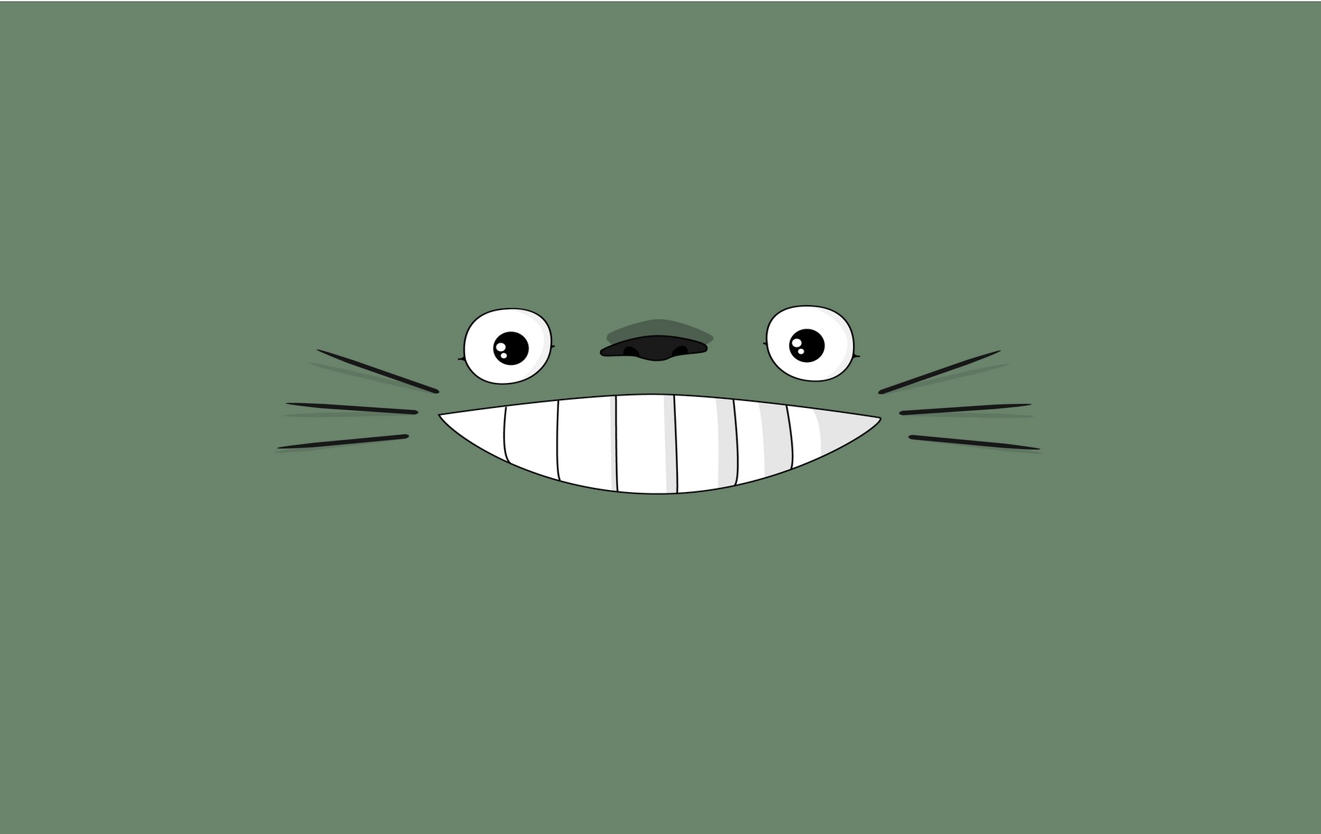 Totoro My Neighbor Totoro 1900x1200