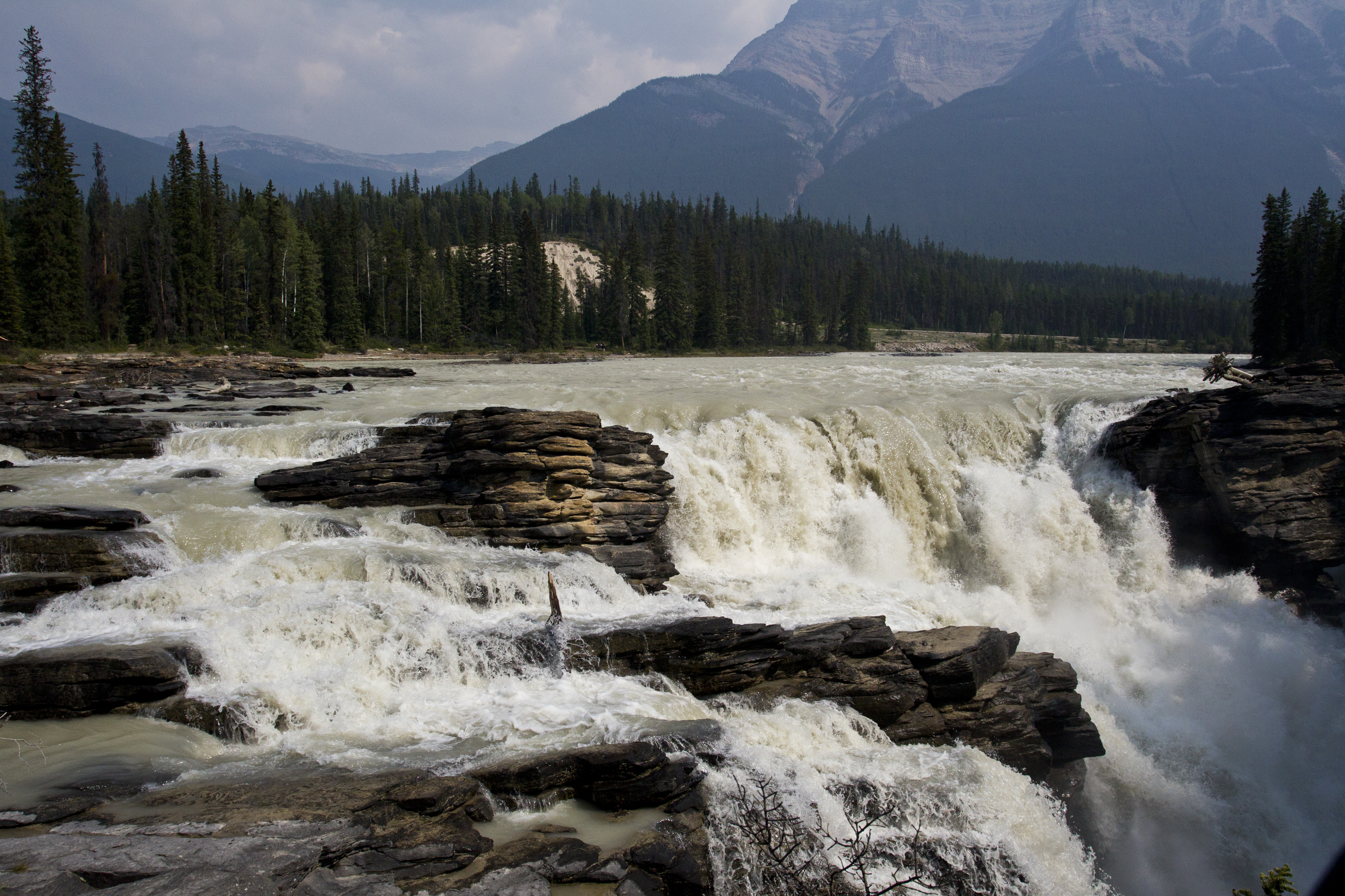 Athabasca Falls Canada Forest Jasper National Park Nature River Rock Waterfall 4896x3264