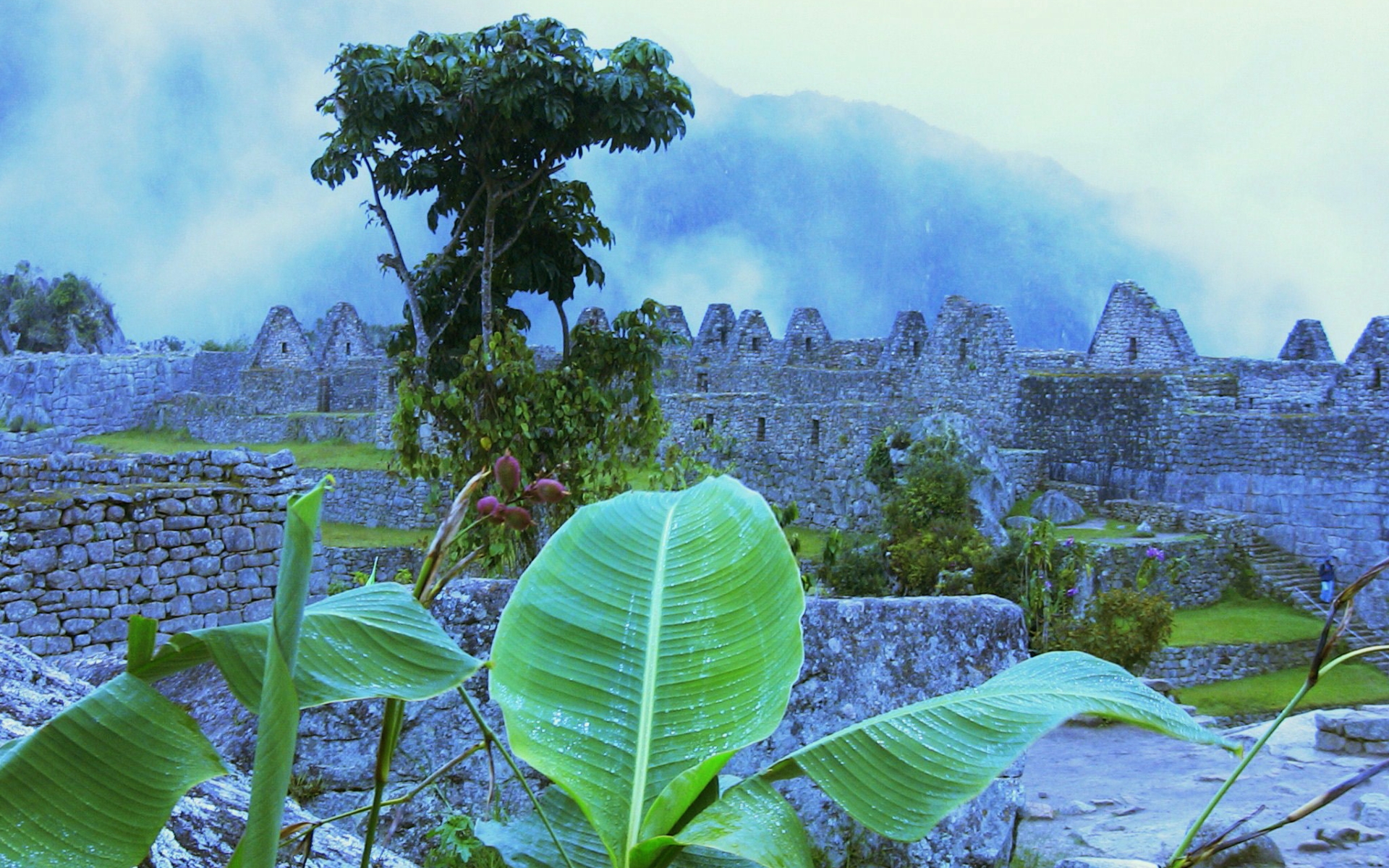 Man Made Machu Picchu 1920x1200