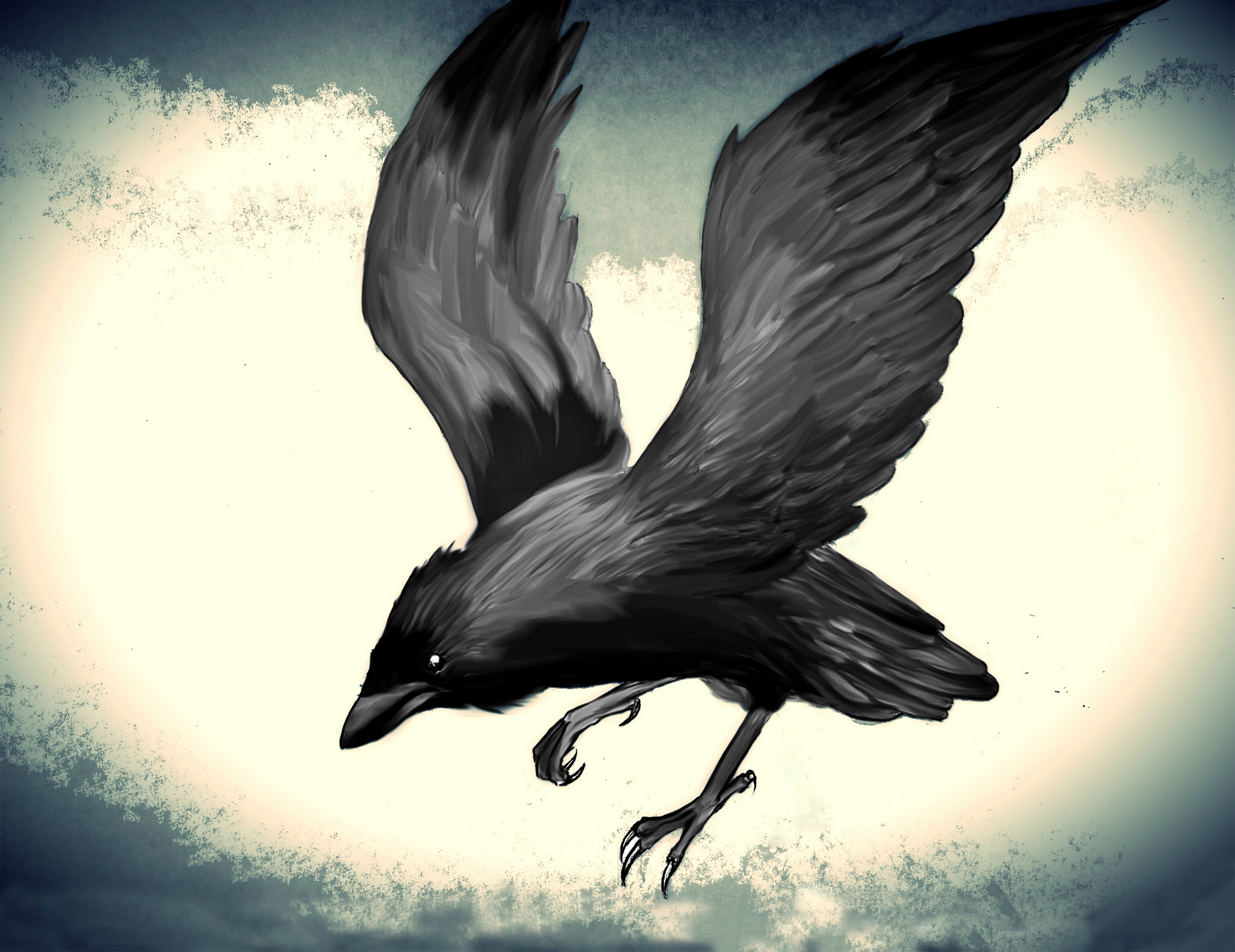 Animal Raven 5700x4397