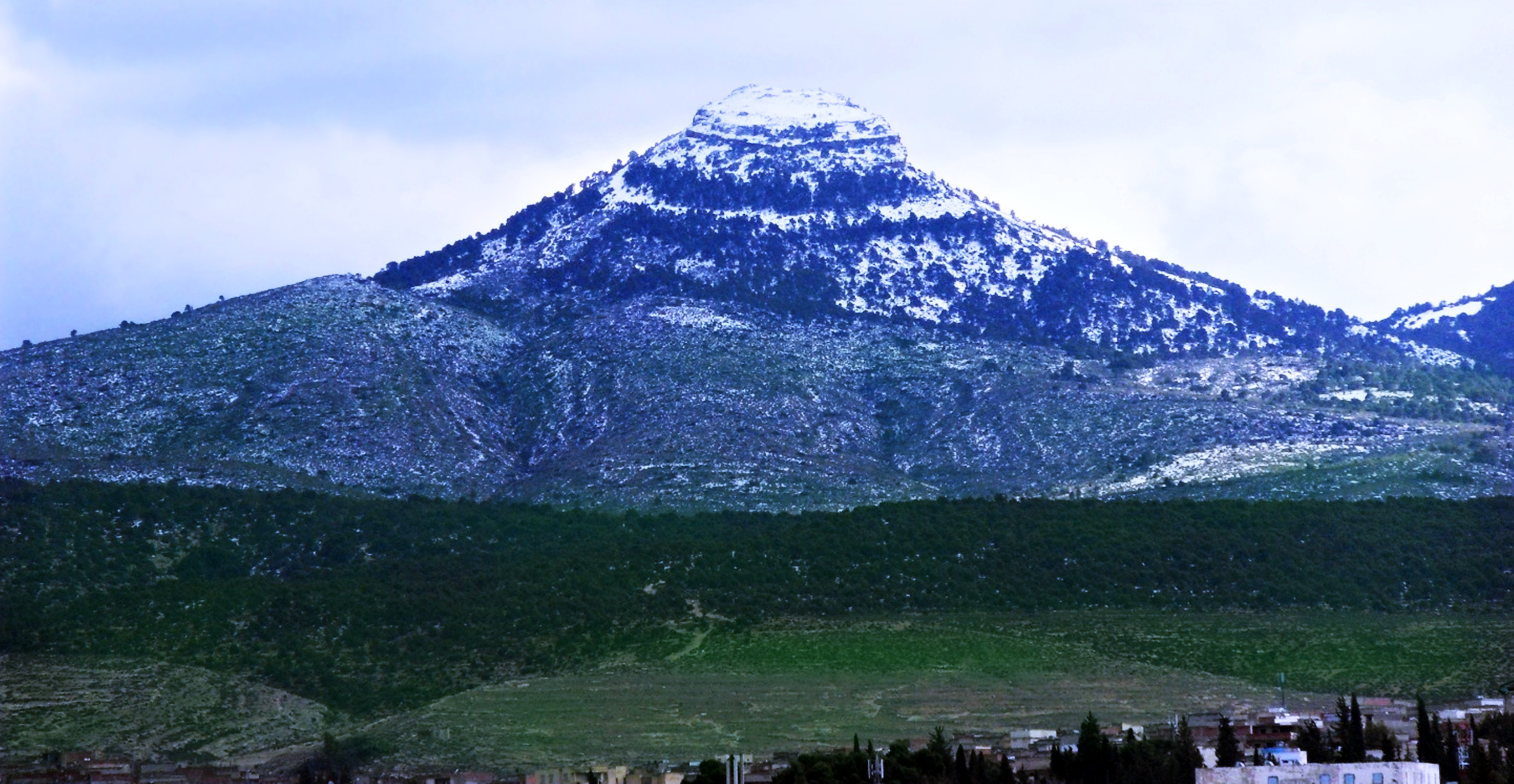 Amazigh Mountain Snow Algeria Forest Earth Landscape Tebessa Mountains 3840x1989