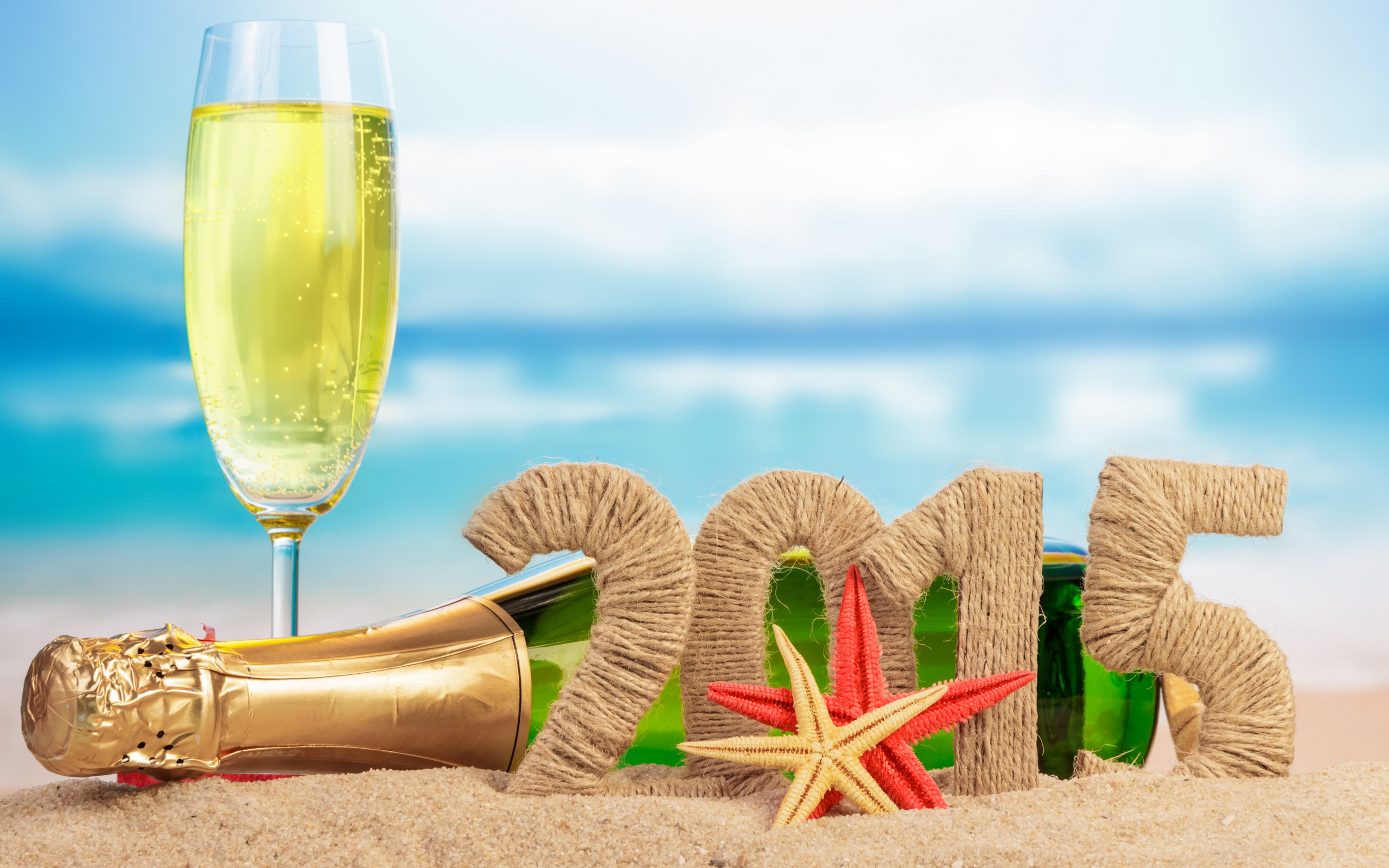 Celebration Champagne Holiday New Year Party 2560x1600