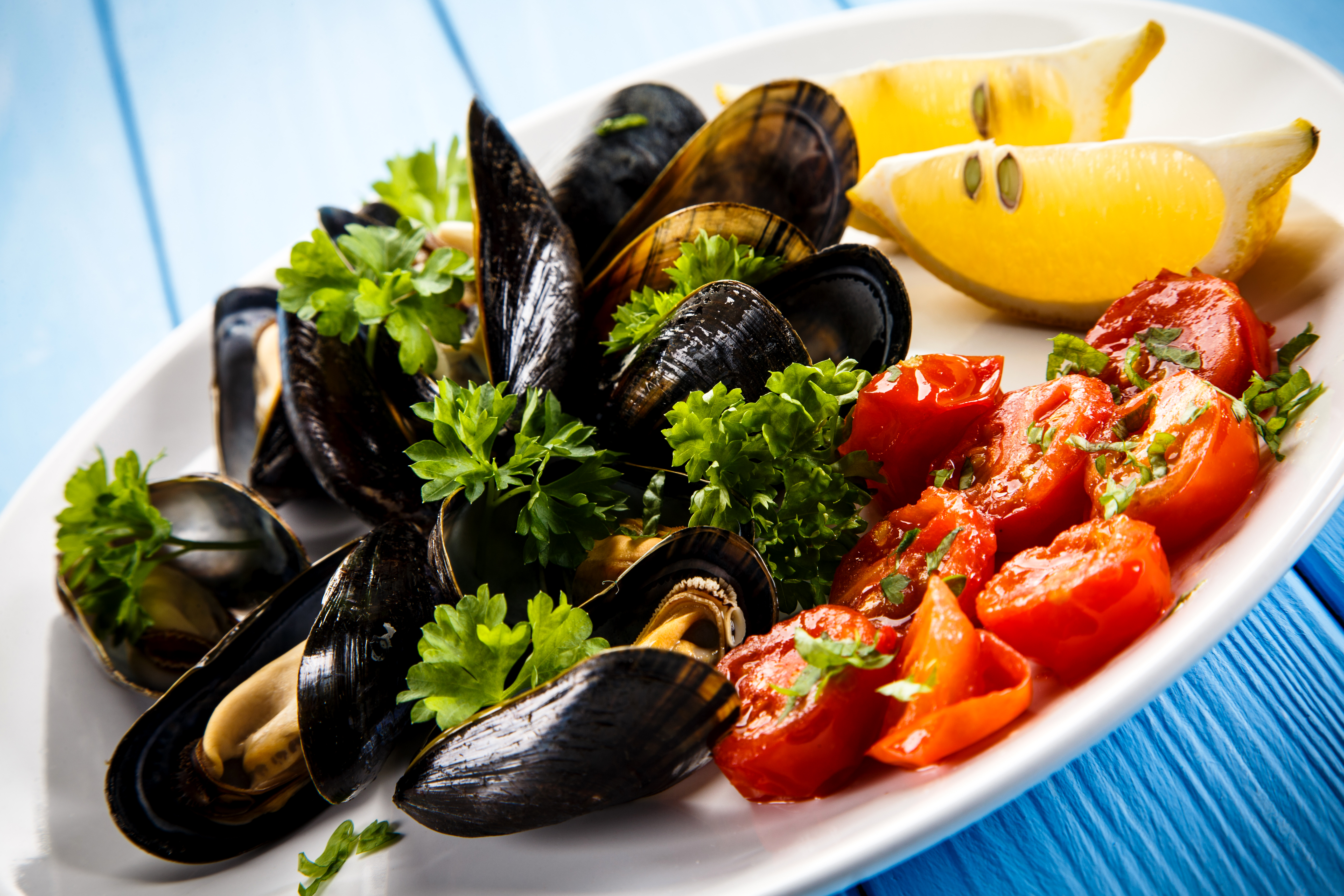 Mussel Seafood Tomato 5184x3456