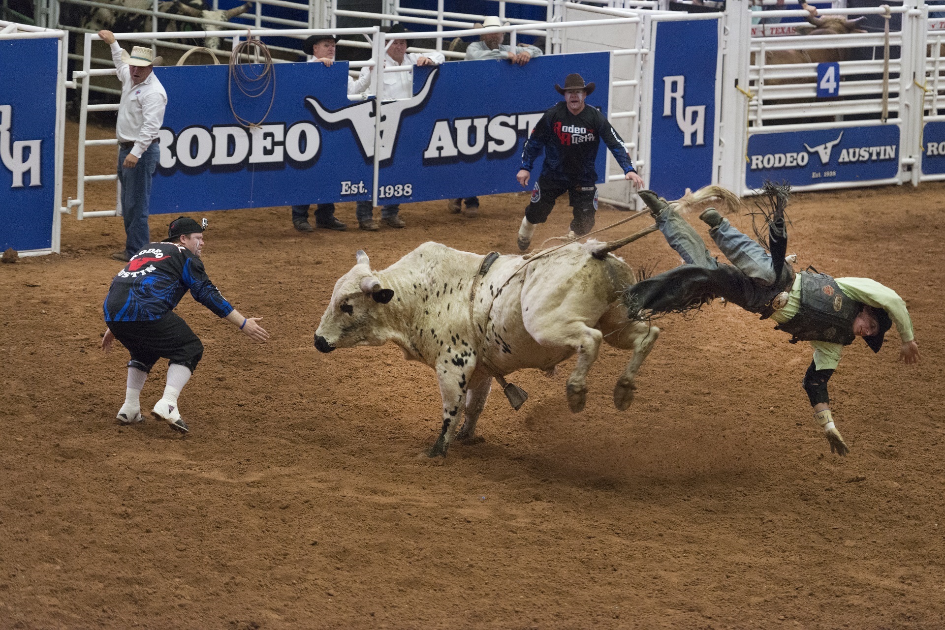 Bull Cowboy Rodeo Sport 1920x1281