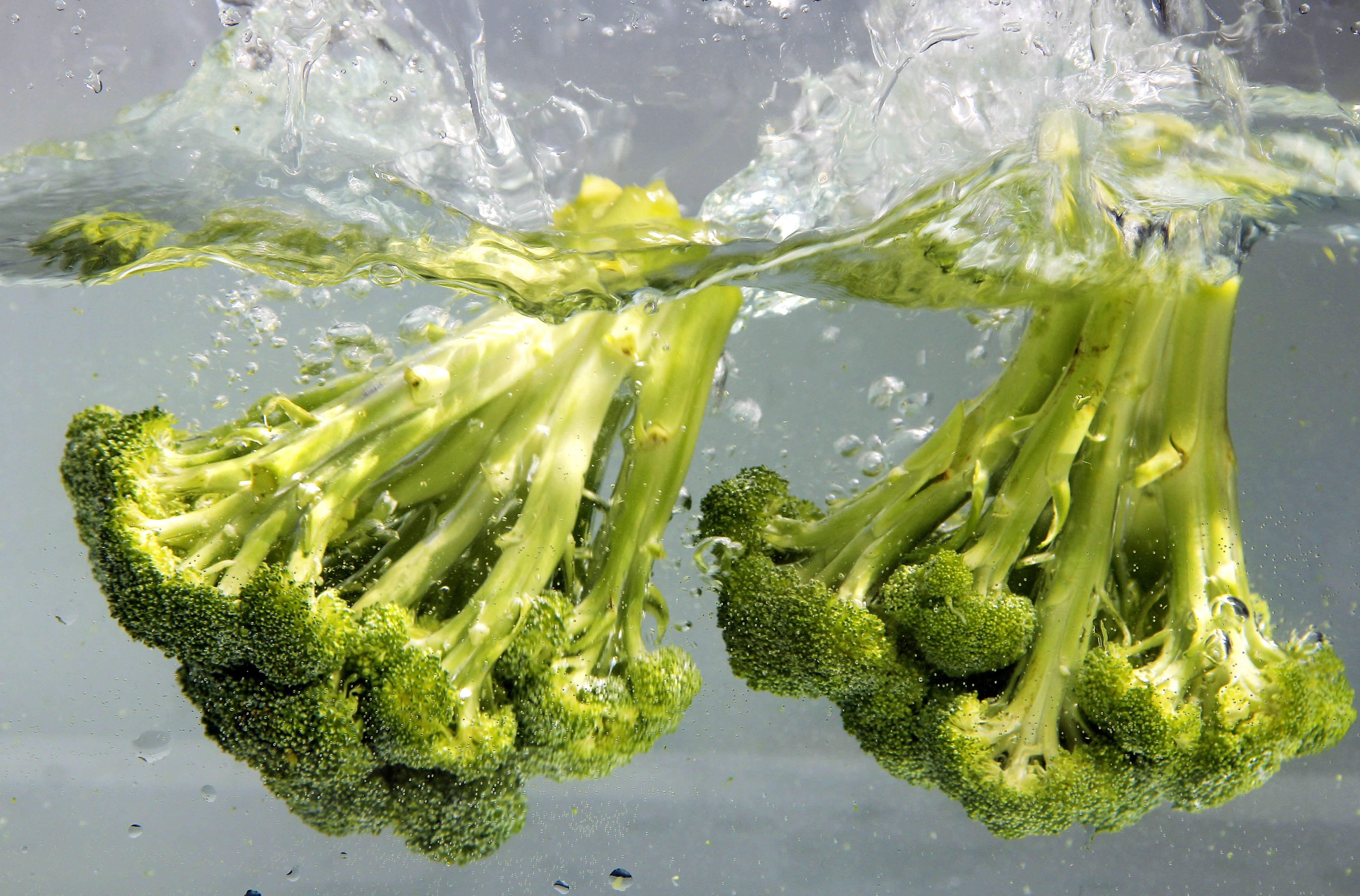 Food Broccoli 4500x2966