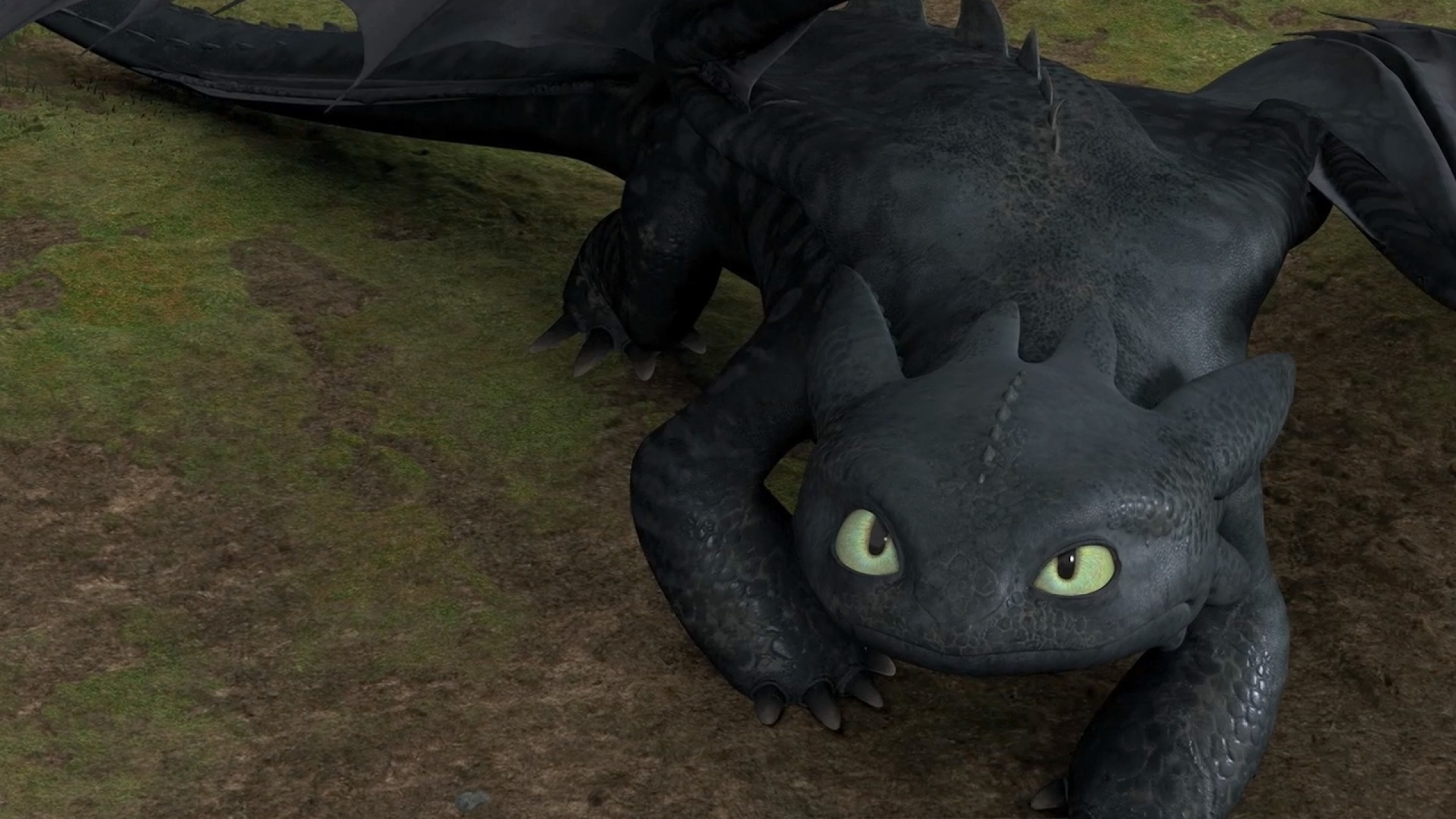 Movie How To Train Your Dragon 2560x1440