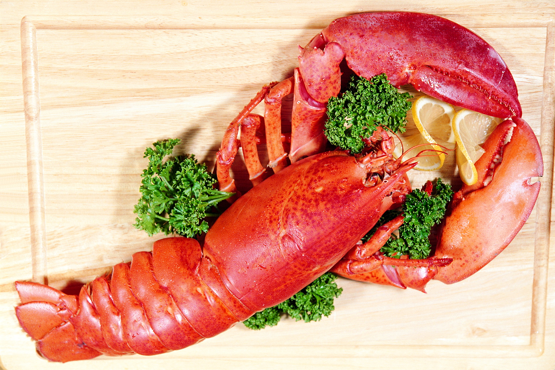 Food Lobster 1920x1280