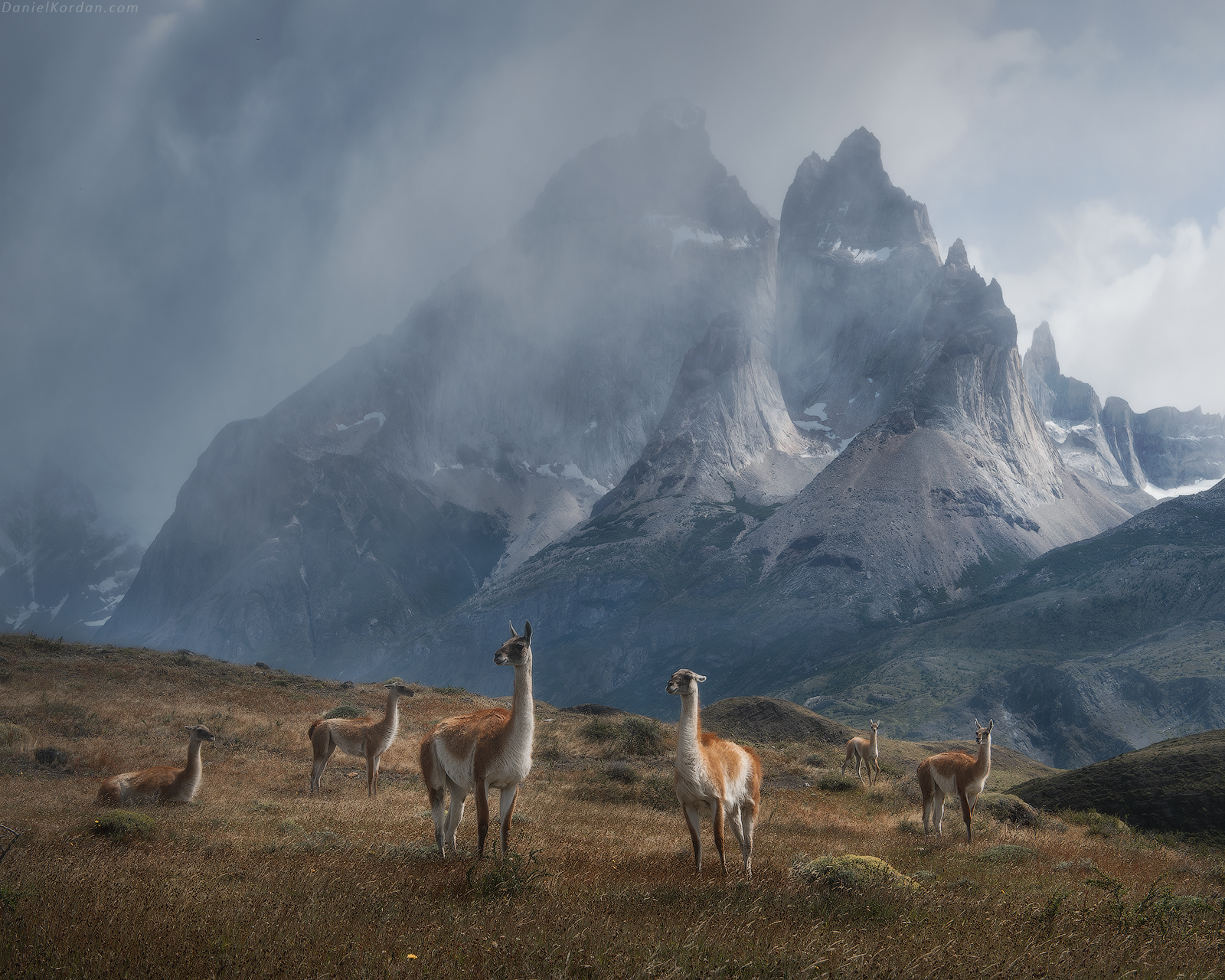 Daniel Kordan Landscape Mountains Clouds Animals Patagonia Lama 1600x1280