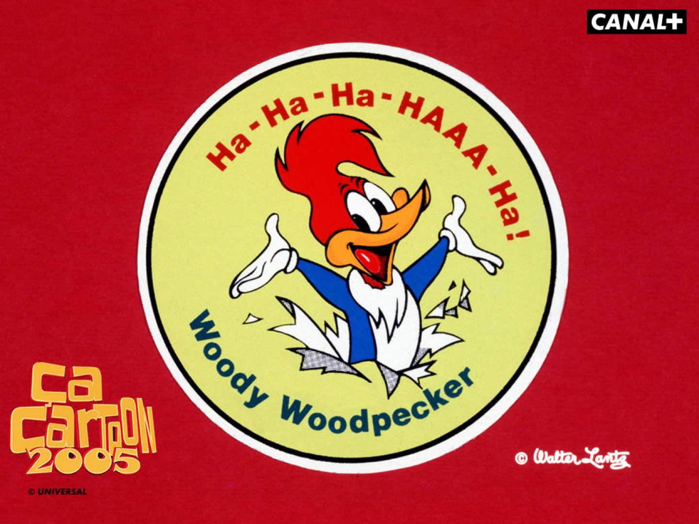 Woody Woodpecker 1440x1080