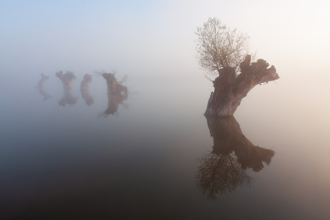 Jaskula Jan Landscape Mist Reflection Tree Stump Water 1350x900