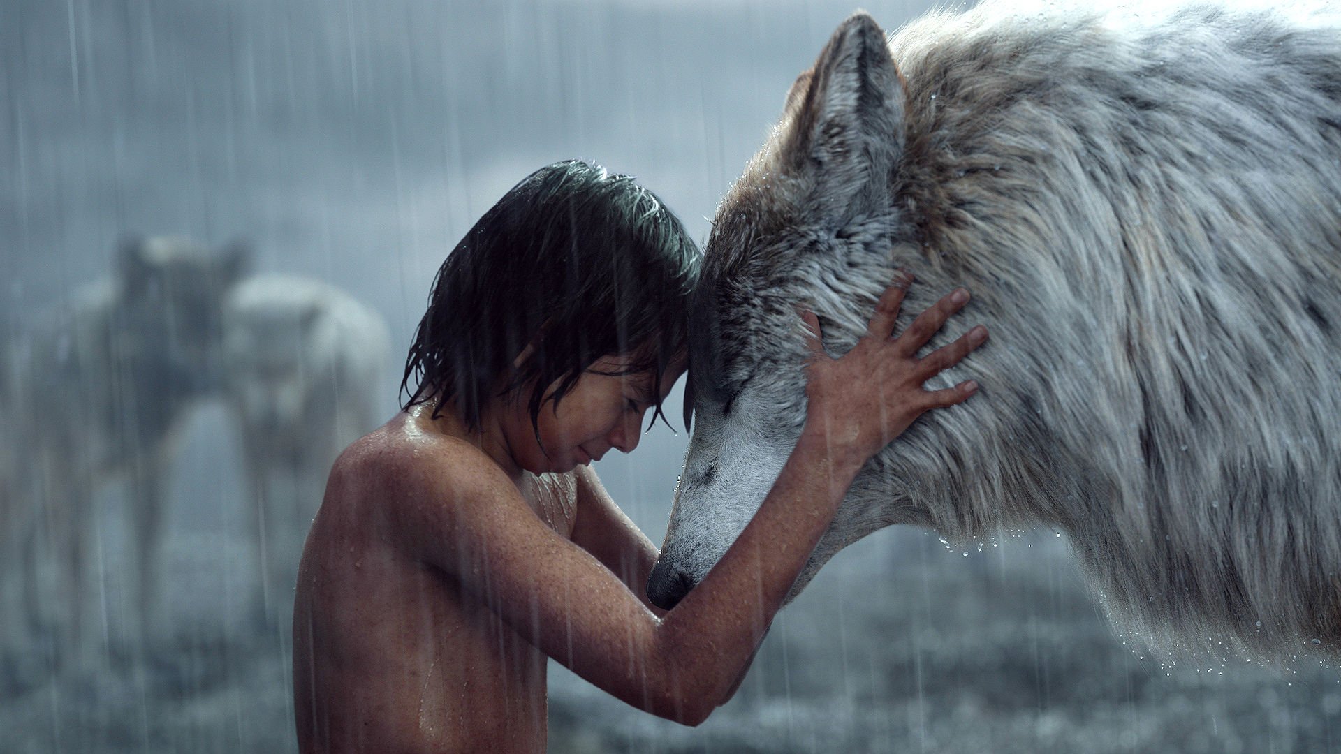 Love Movie Mowgli The Jungle Book Wolf 1920x1080