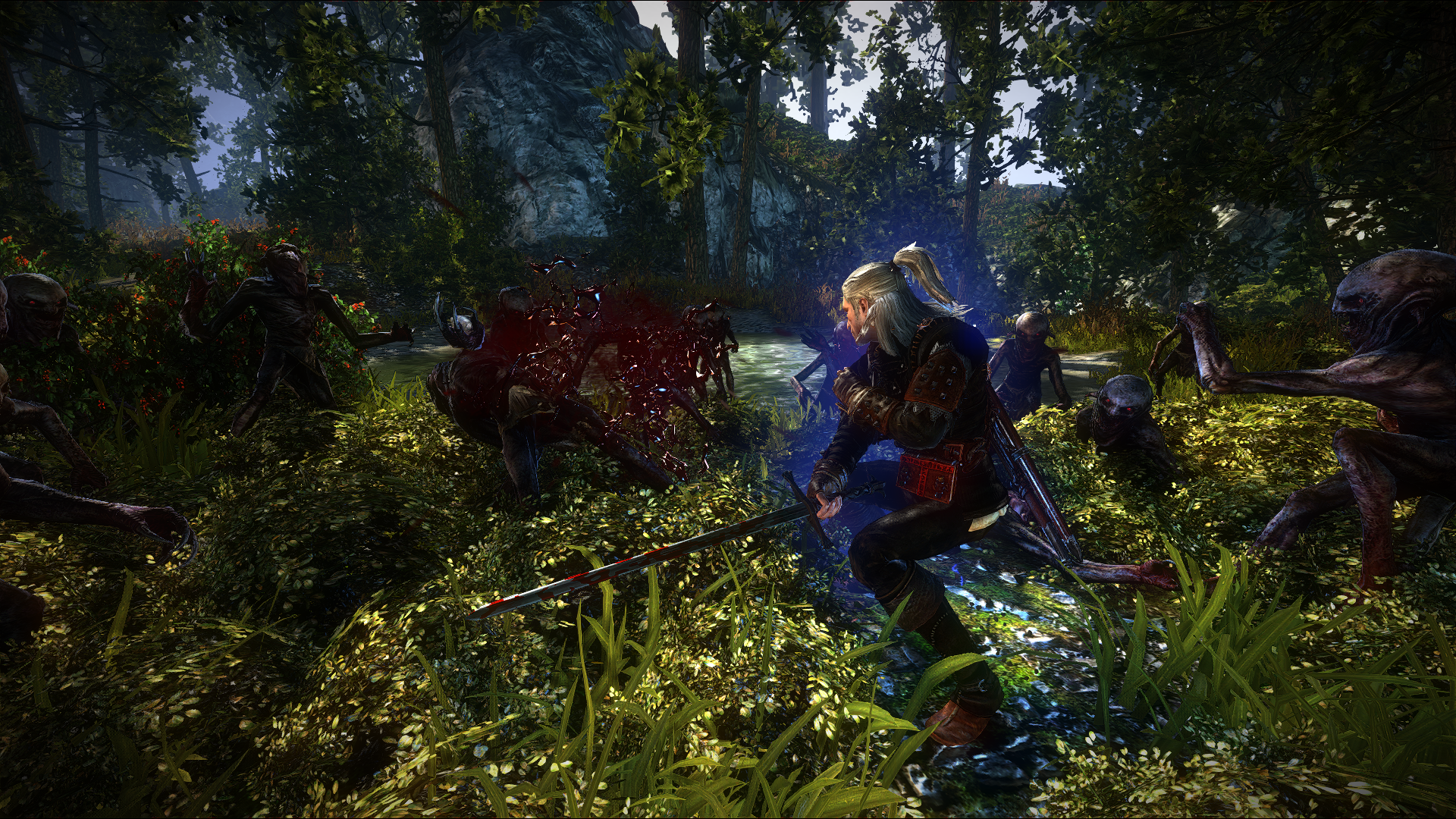Video Game The Witcher 2 Assassins Of Kings 1920x1080