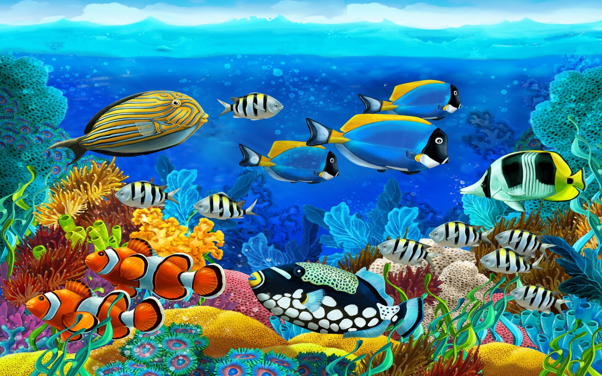 Animal Fish Tropical Tropical Fish Sea Bed Underwater Ocean 1920x1200