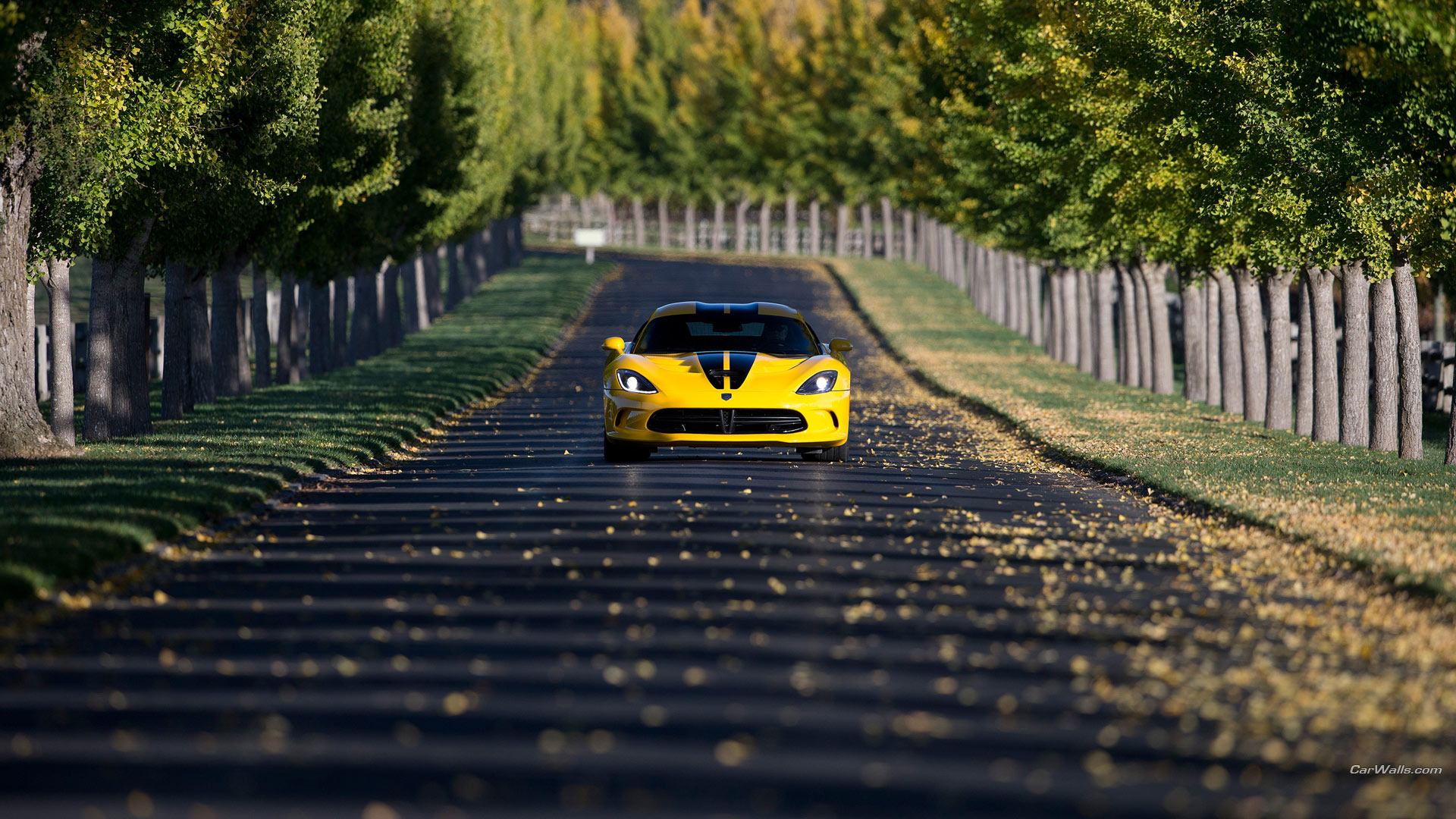 Vehicles Dodge SRT Viper GTS 1920x1080