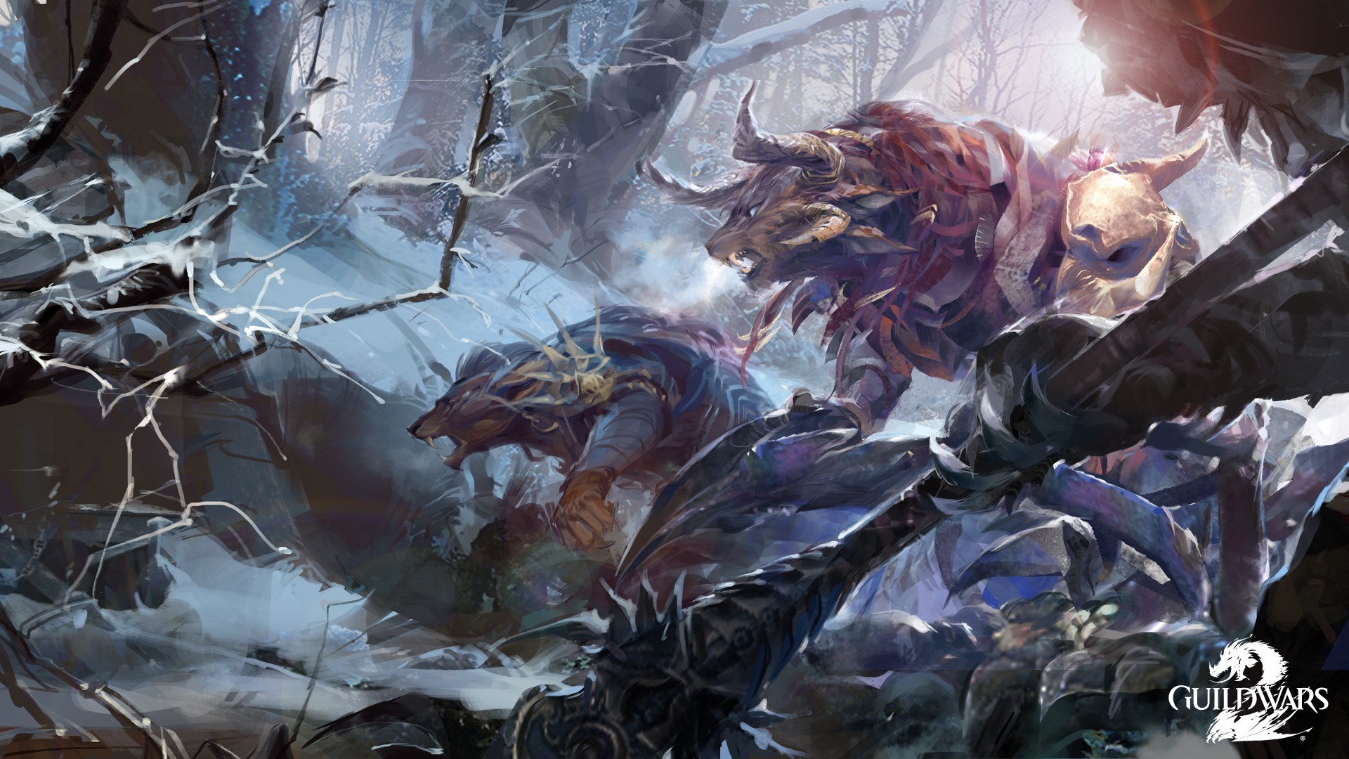 Video Game Guild Wars 1920x1080