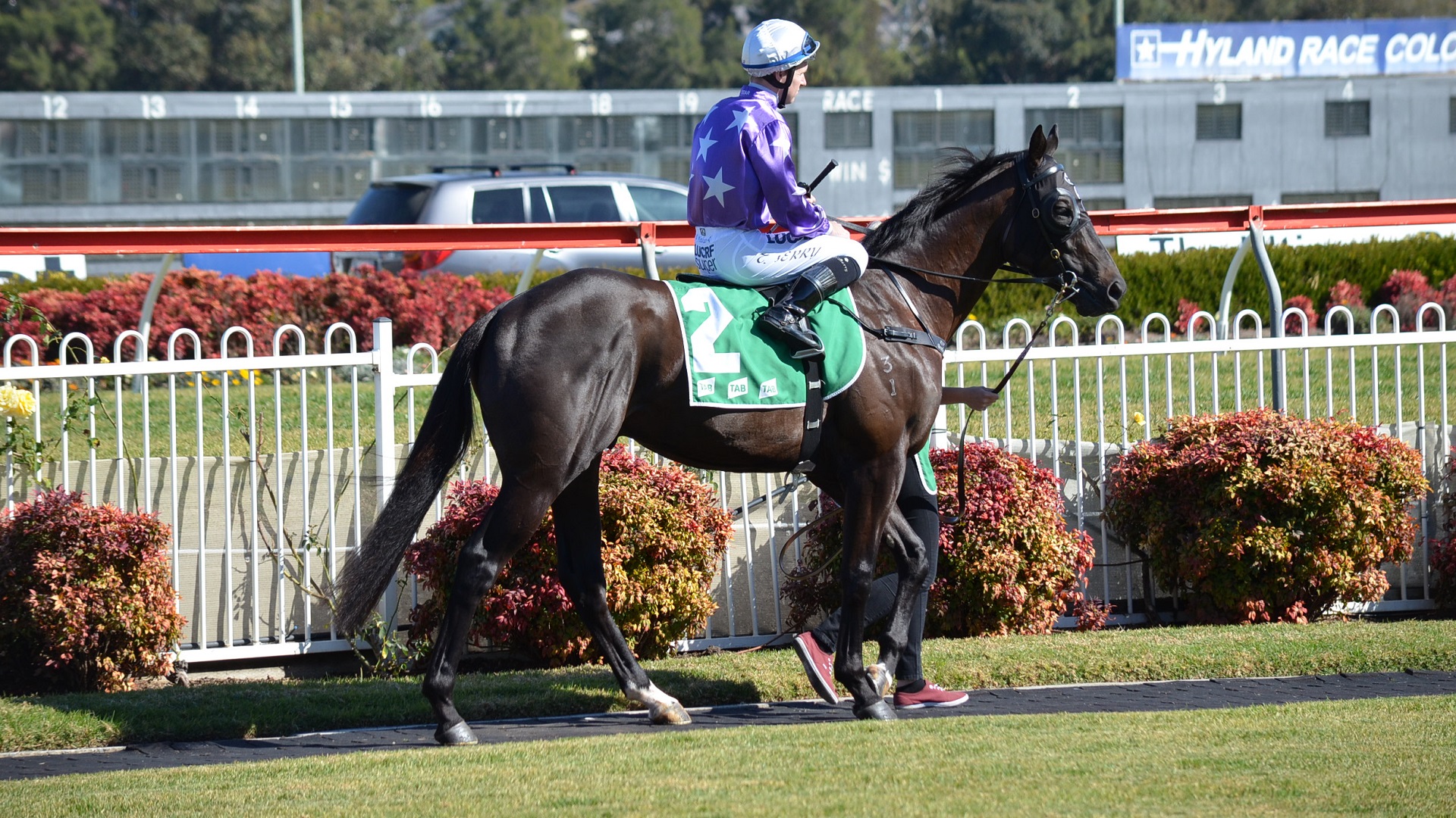 Animal Horse Race Racing Horse Racing Jockey Photography Races 1920x1080