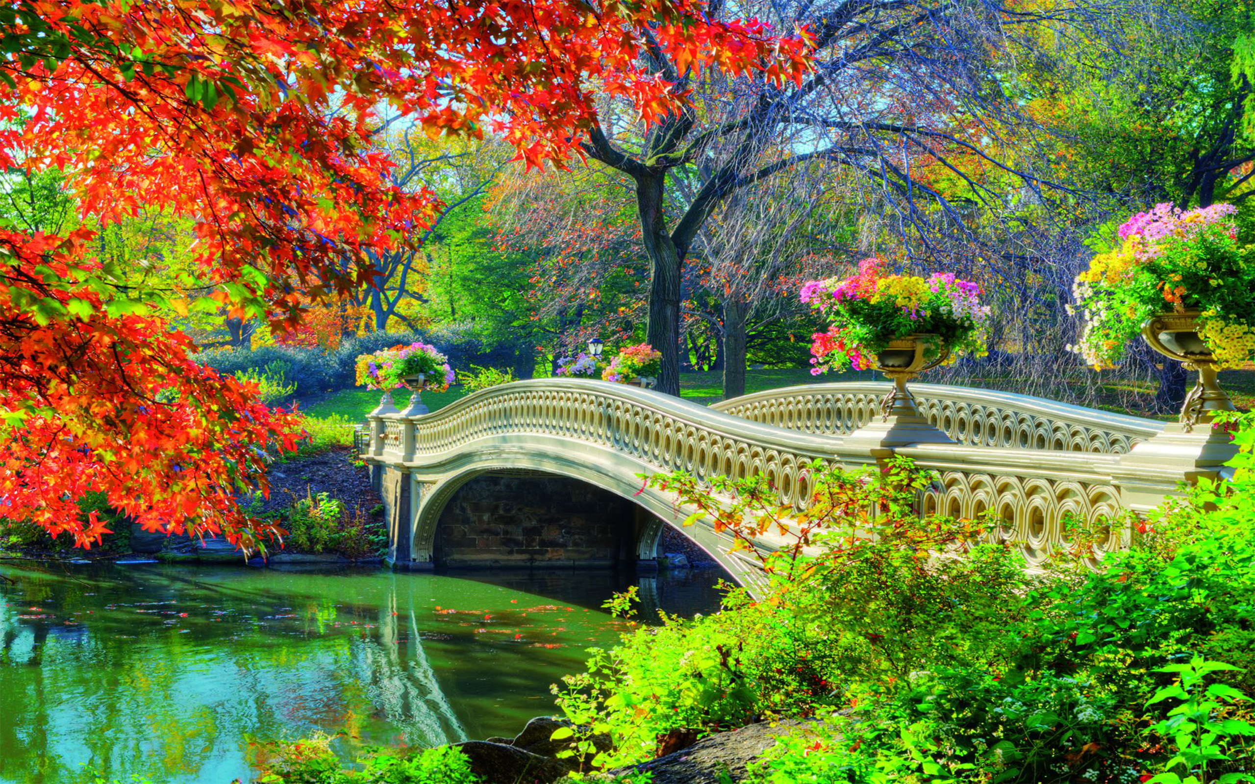 Bridge Central Park Spring Flower Tree Garden 2560x1600