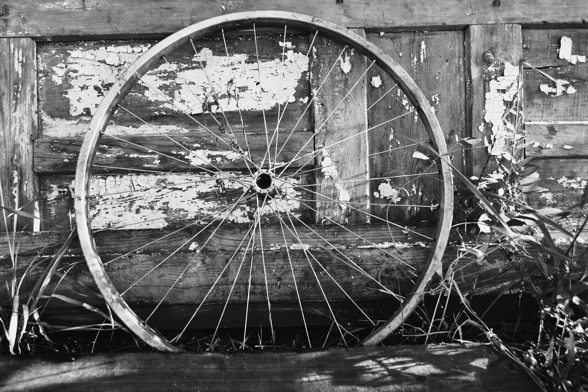 Photography Wheel 2000x1333