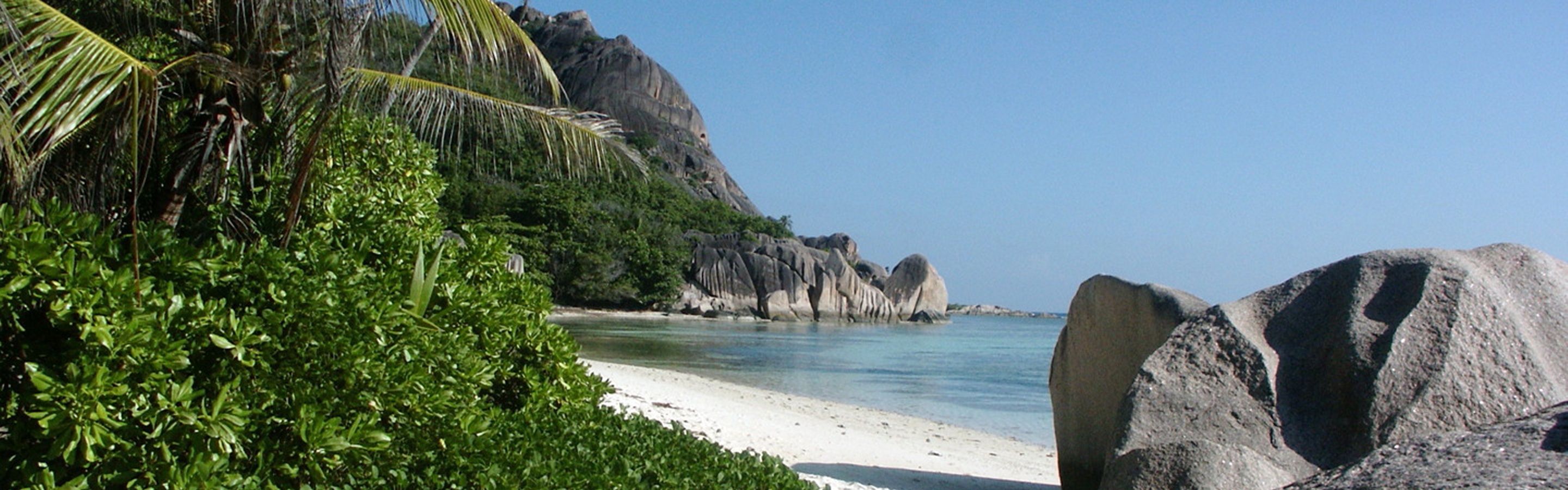 Beach Mountain Palm Tree Plant Rock Seychelles Tree 2880x900