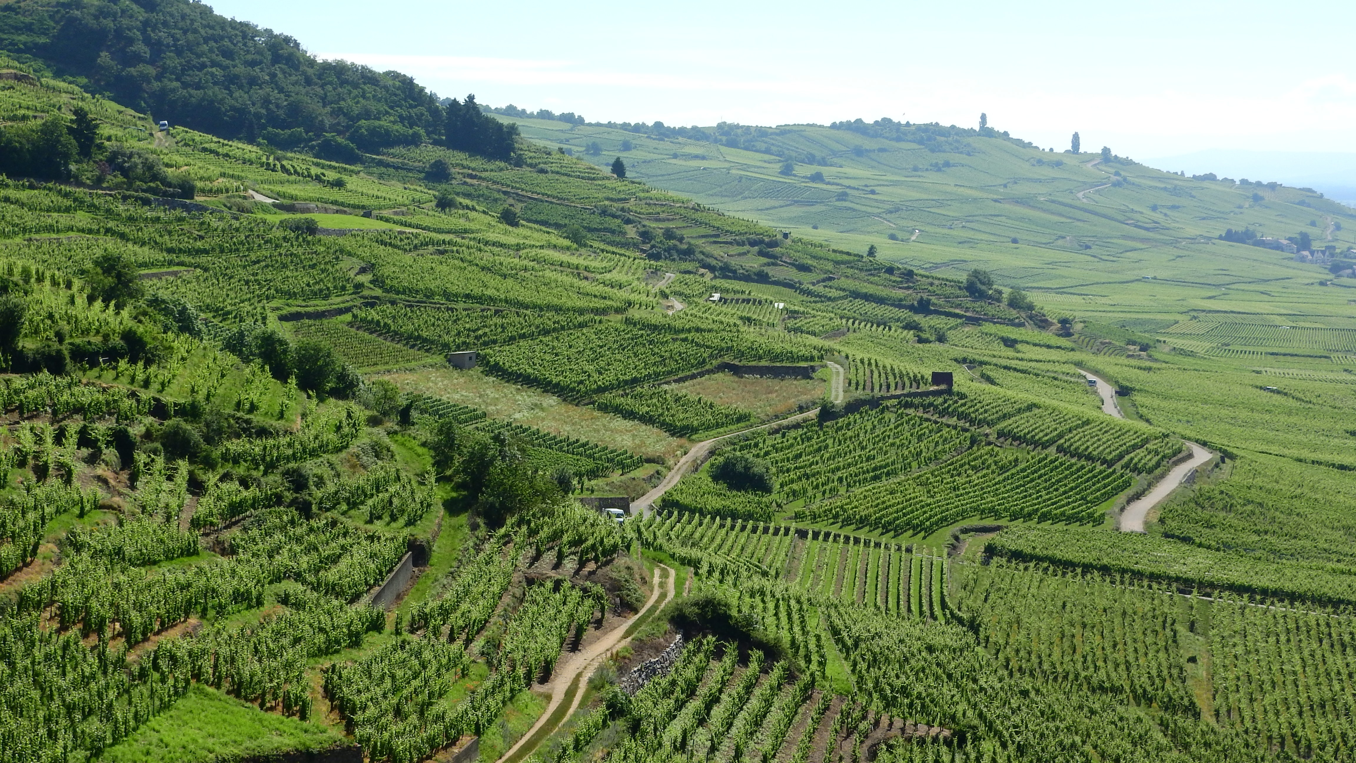 Vineyard France Landscape 4608x2592