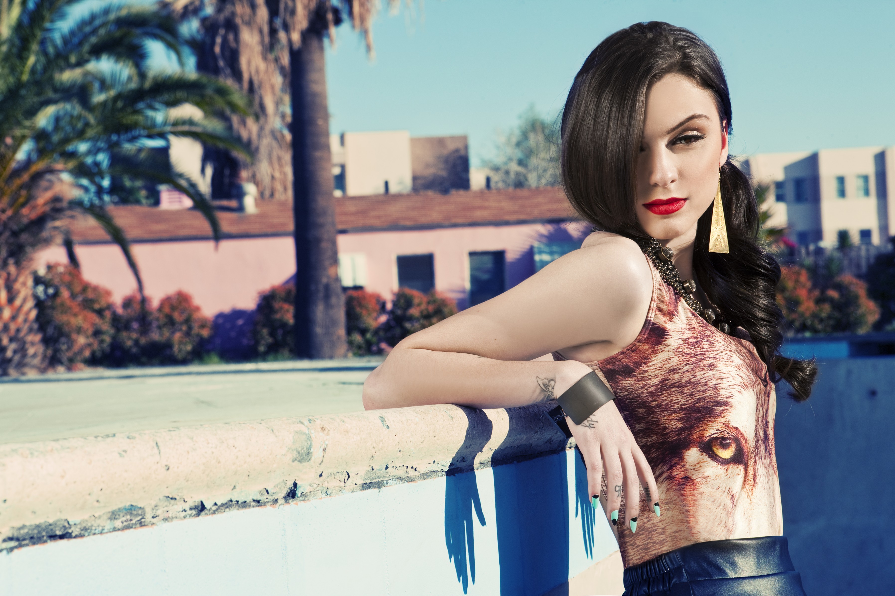 Cher Lloyd English Singer Brunette Lipstick Wallpaper Resolution 3590x2393 Id Wallha Com