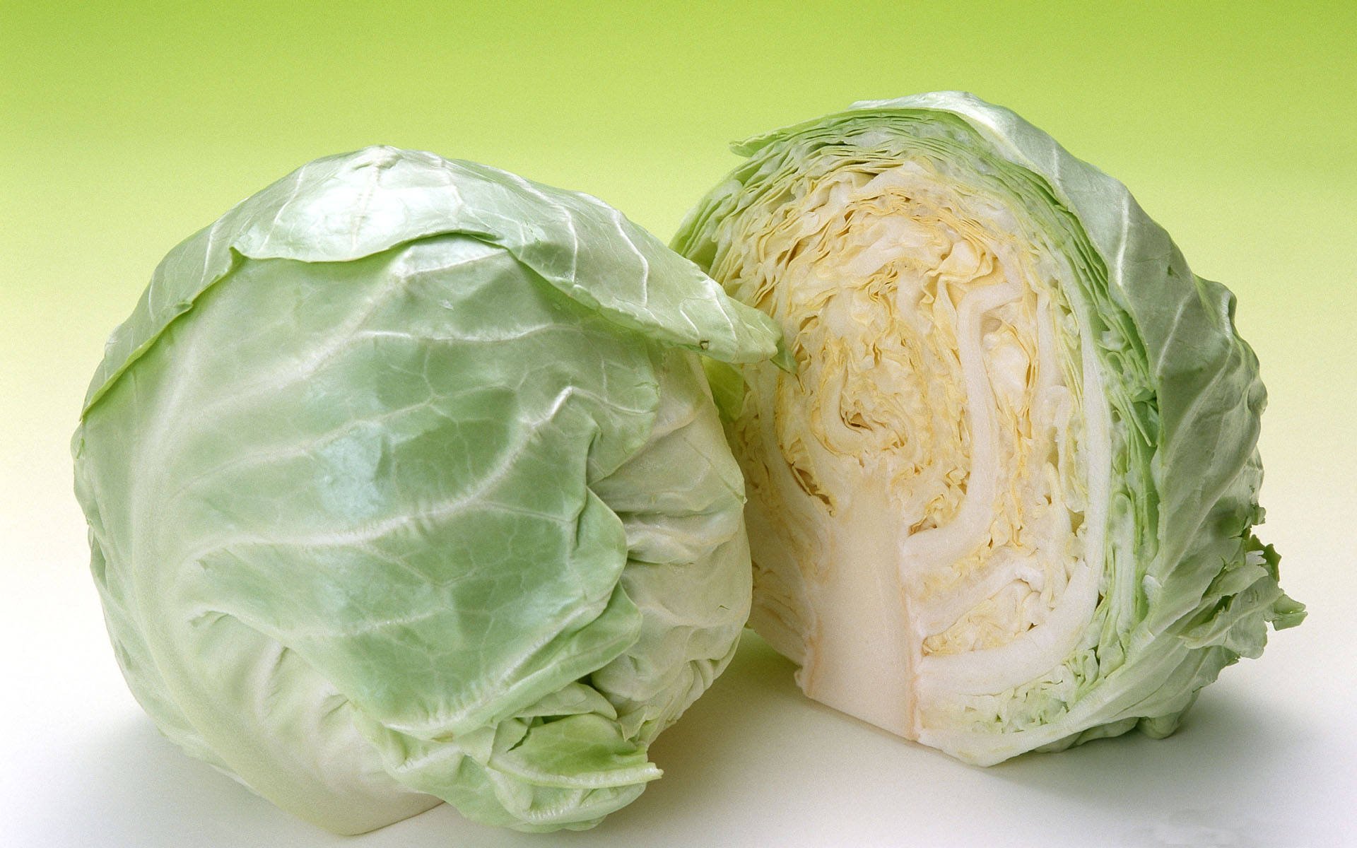 Food Cabbage 1920x1200