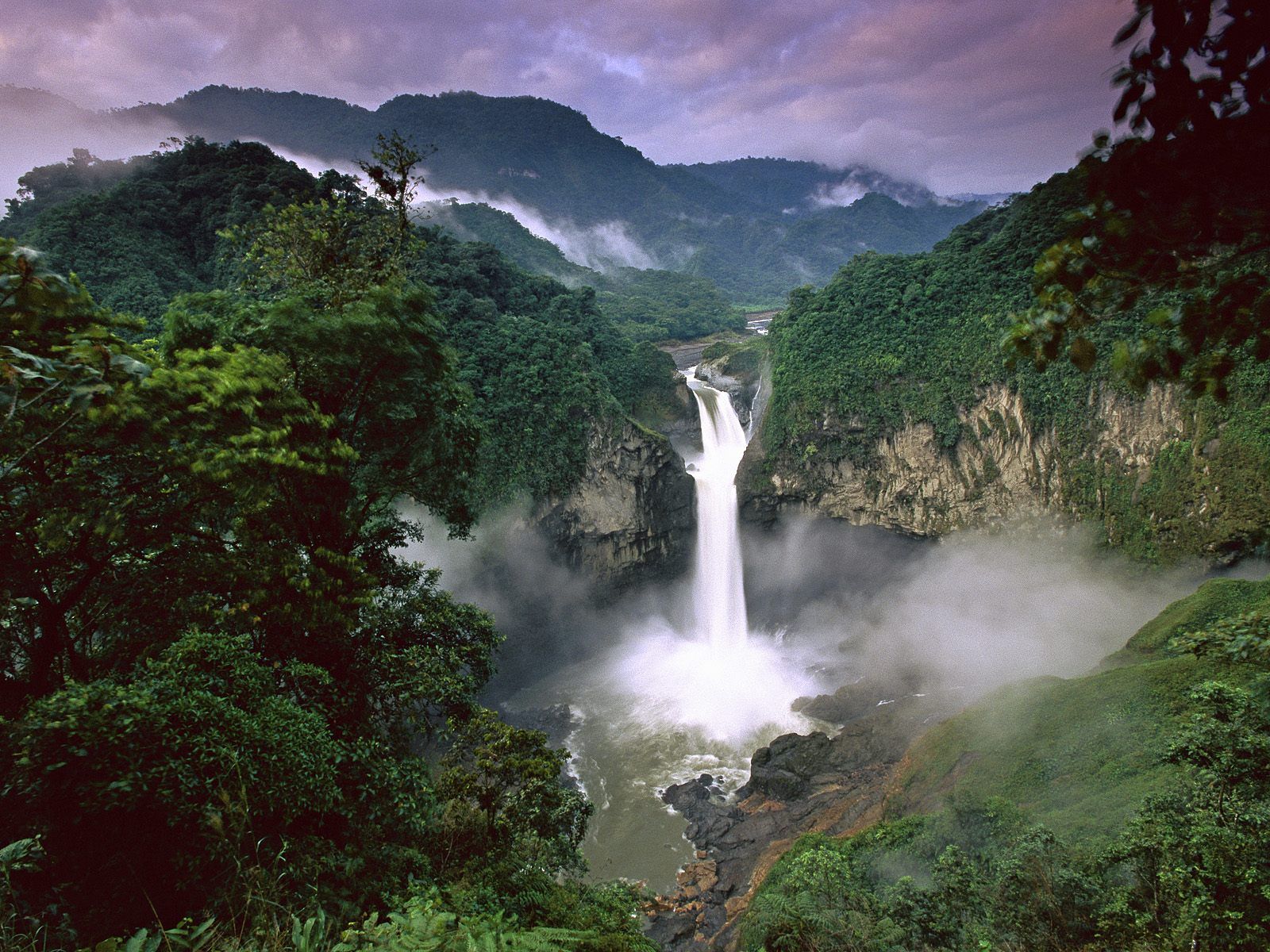 Earth Ecuador Forest Green Tree Waterfall Yasuni National Park 1600x1200