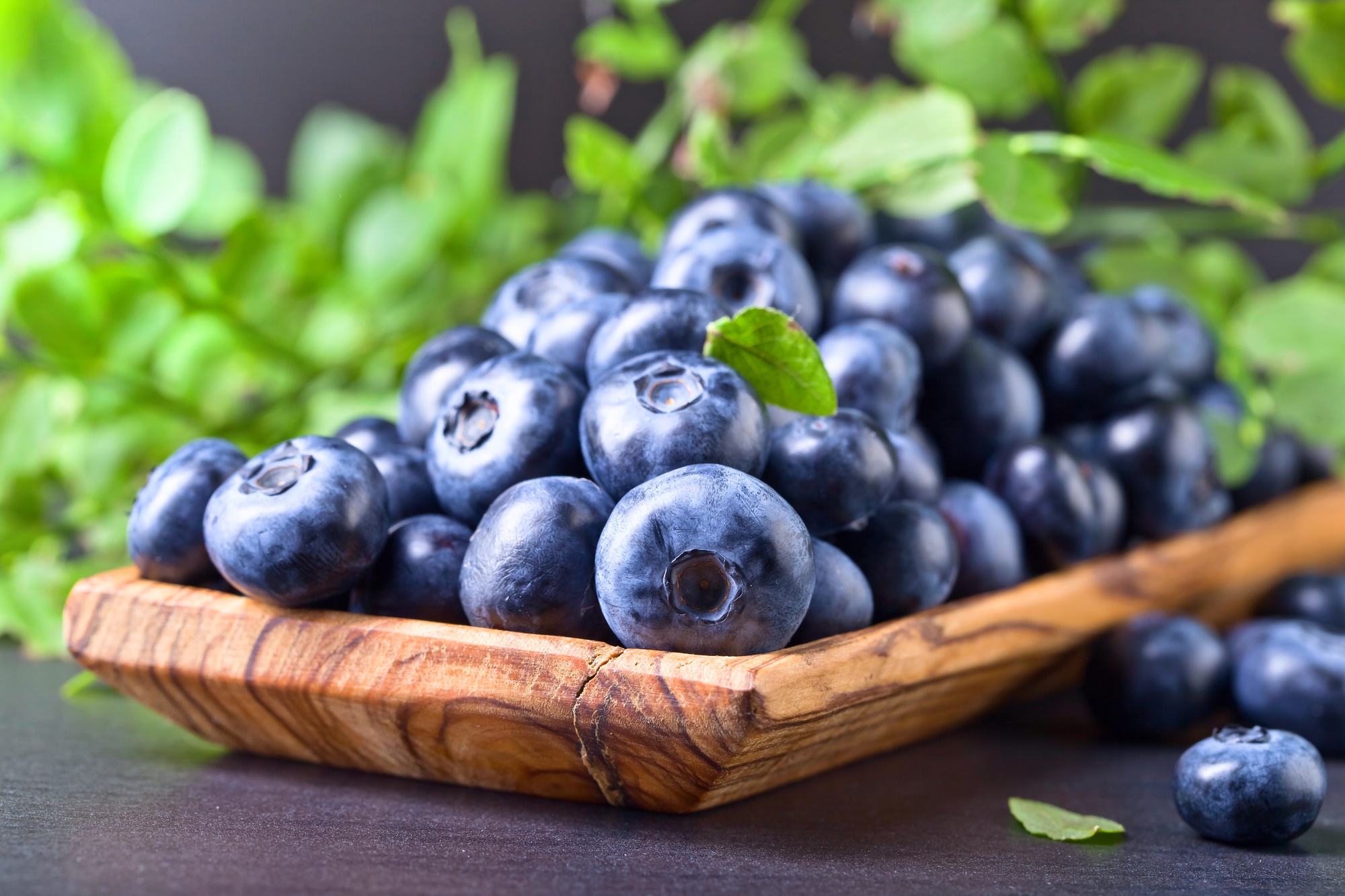 Food Fruit Berries Blueberries 2000x1333