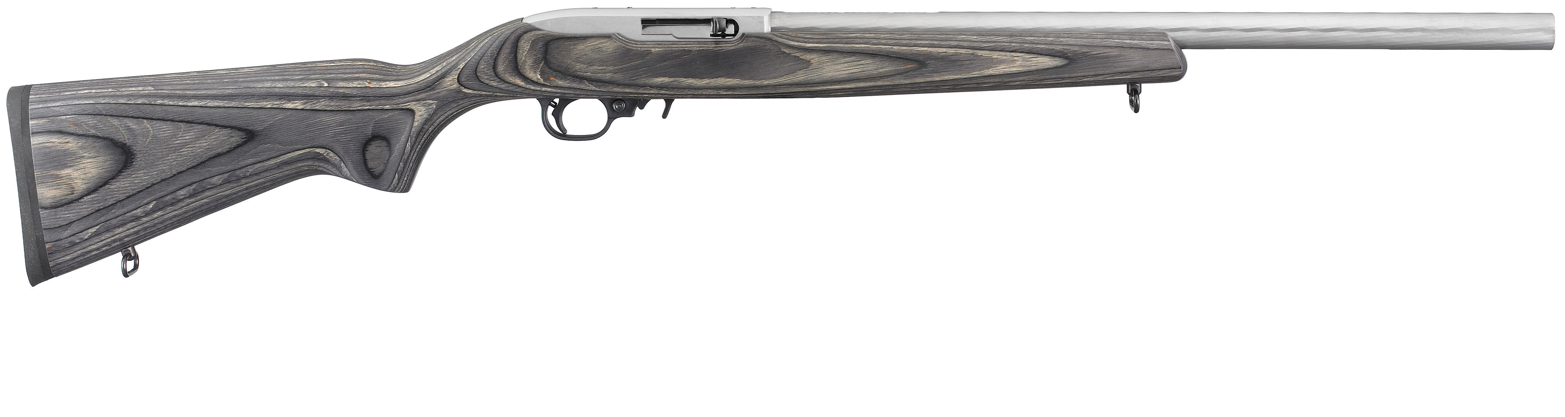 Weapons Ruger 10 22 Rifle 5024x1340