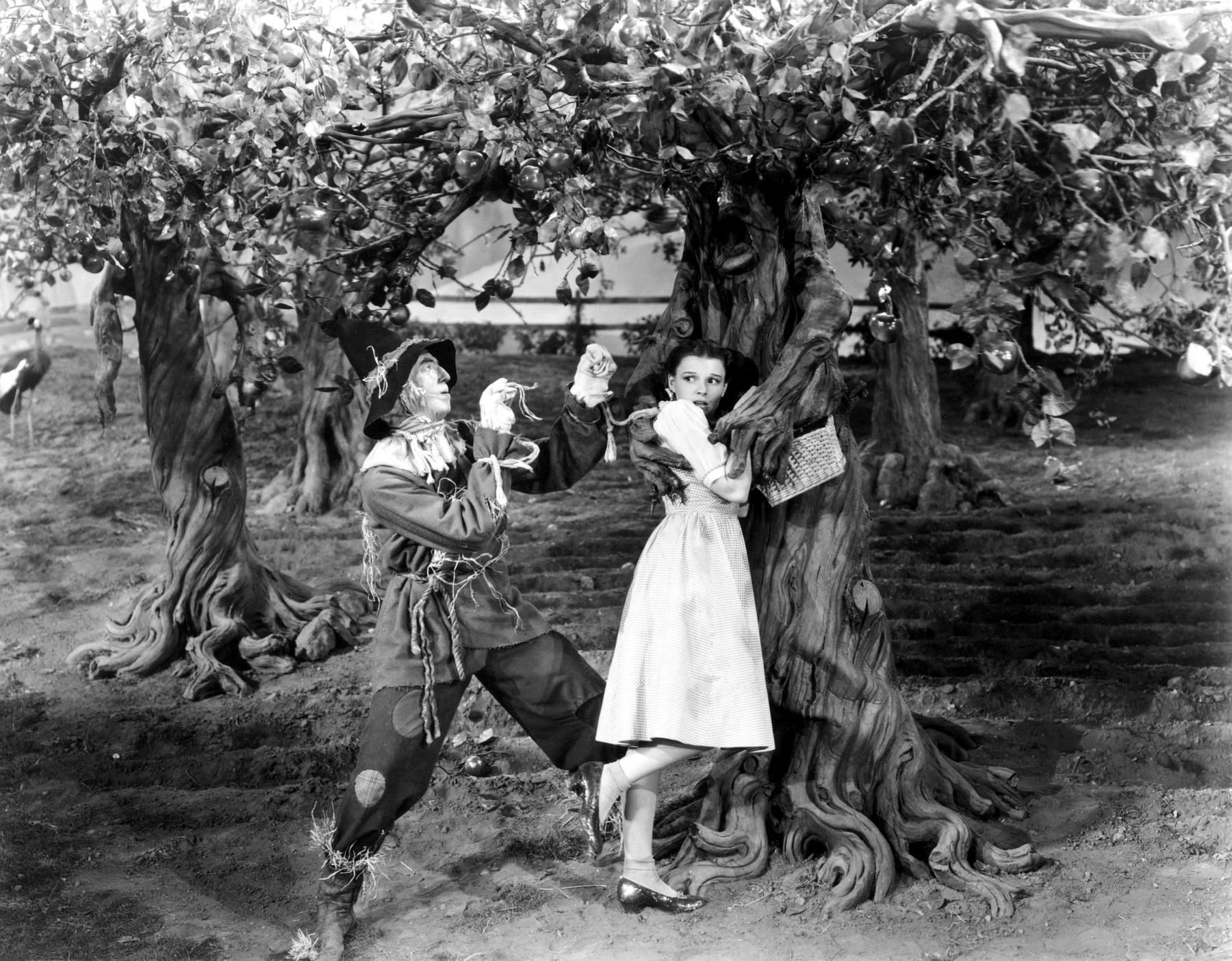 Movie The Wizard Of Oz 1939 1800x1404