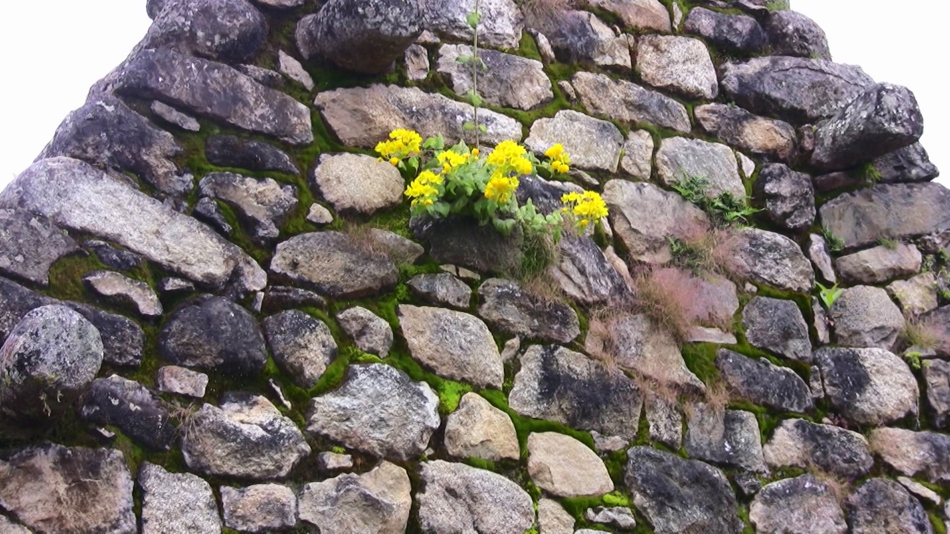 Man Made Machu Picchu 1920x1080