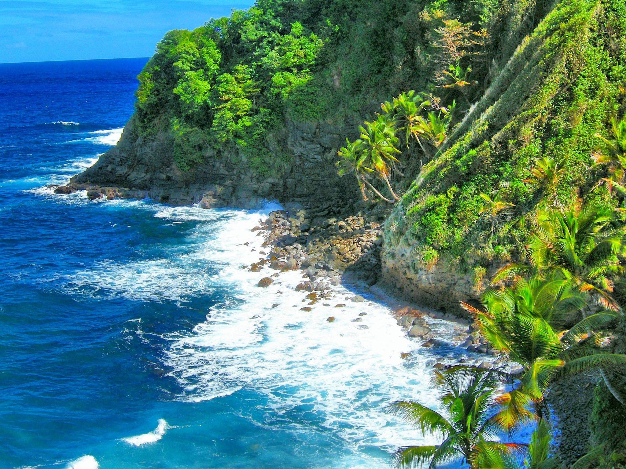 Caribbean Coast Coastline Earth Ocean Palm Tree Tropical 2048x1536