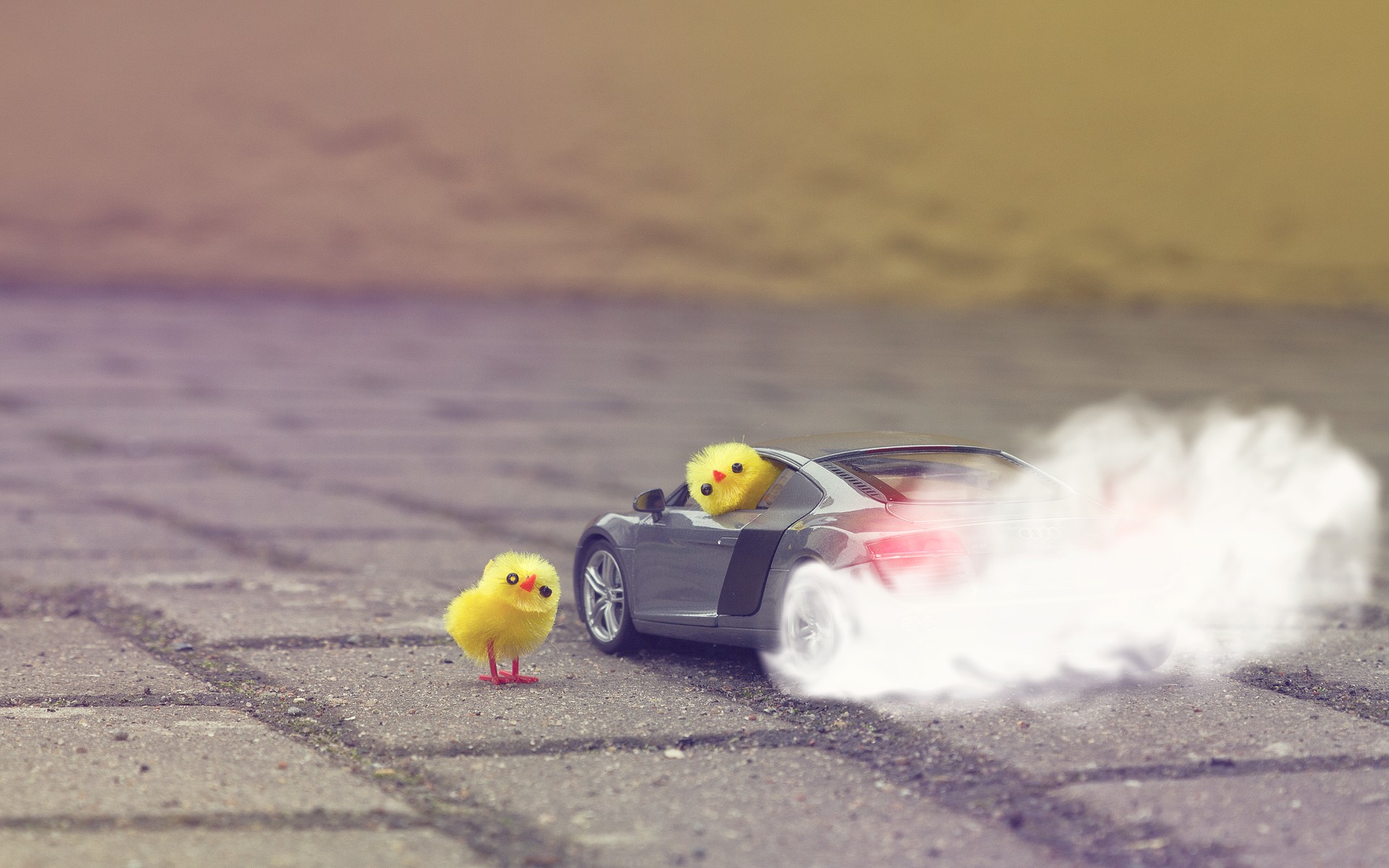 Audi Burnout Chick Smoke 1920x1200