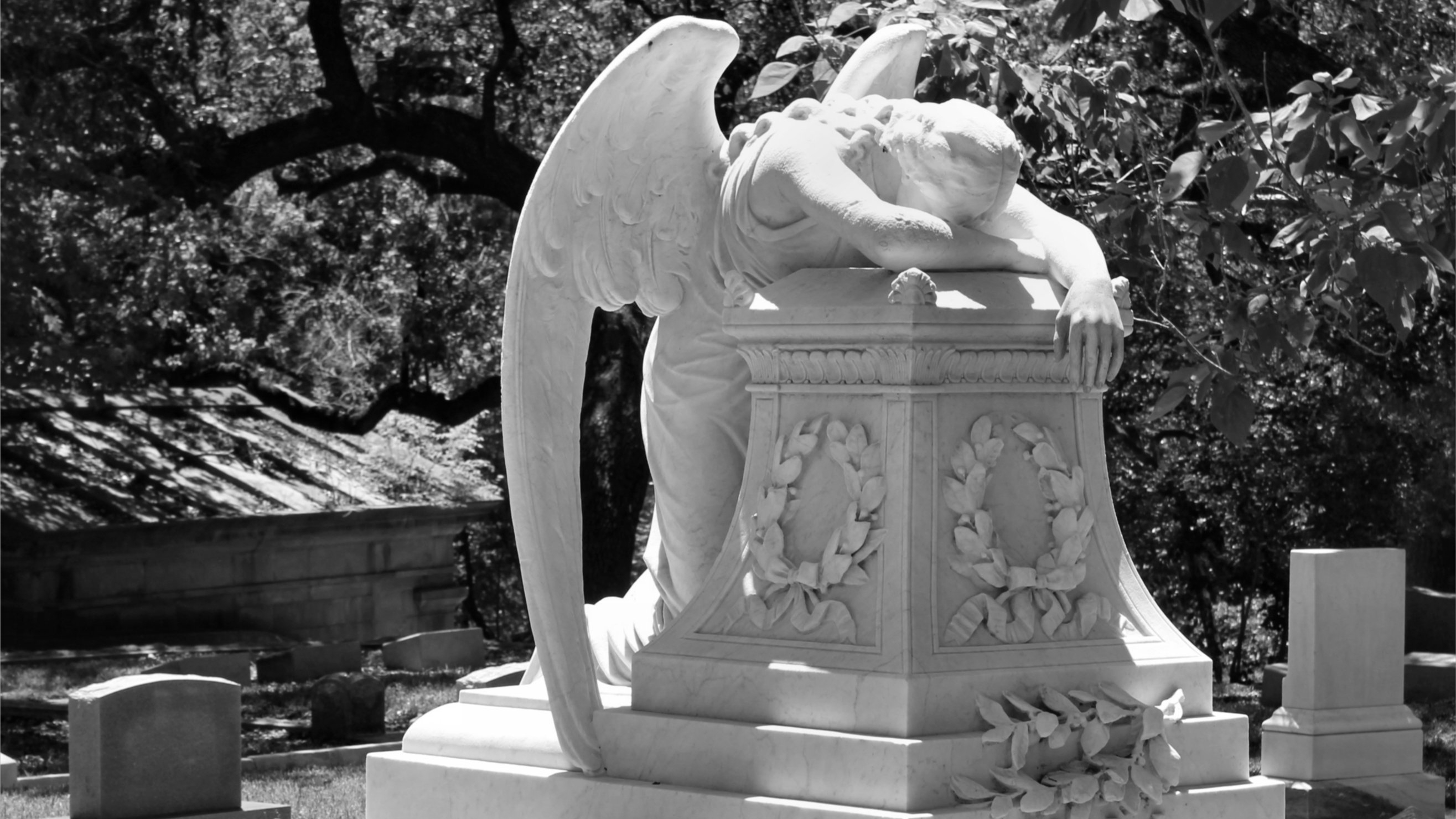 Man Made Angel Statue 2631x1480