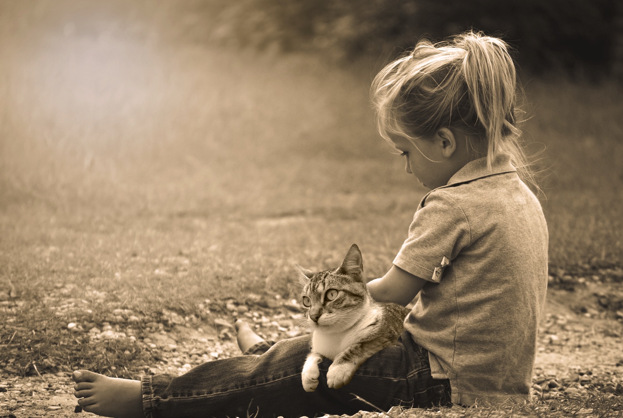 Child Cat Sitting Sepia Little Girl 2000x1342